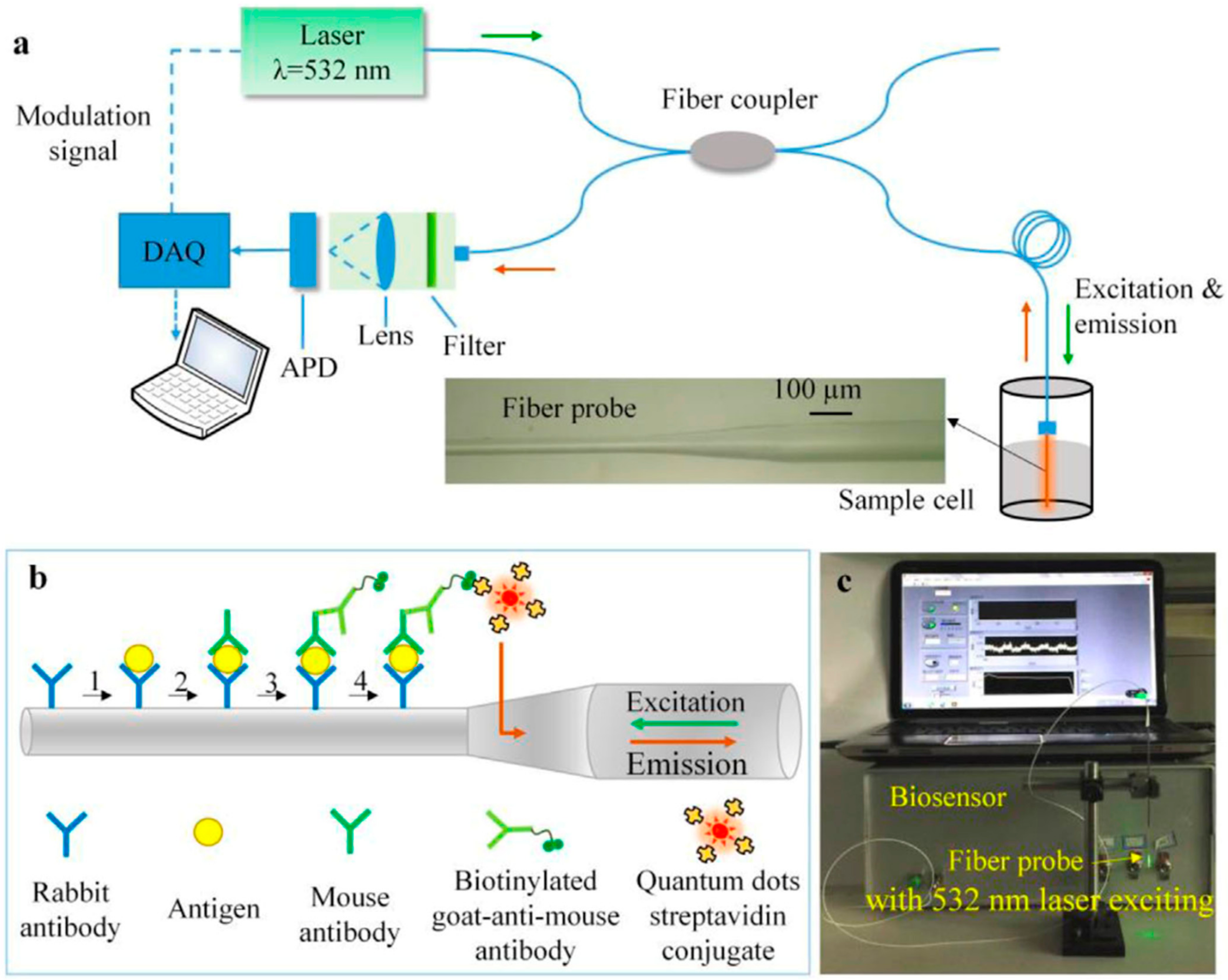 Biosensors 13 00085 g025