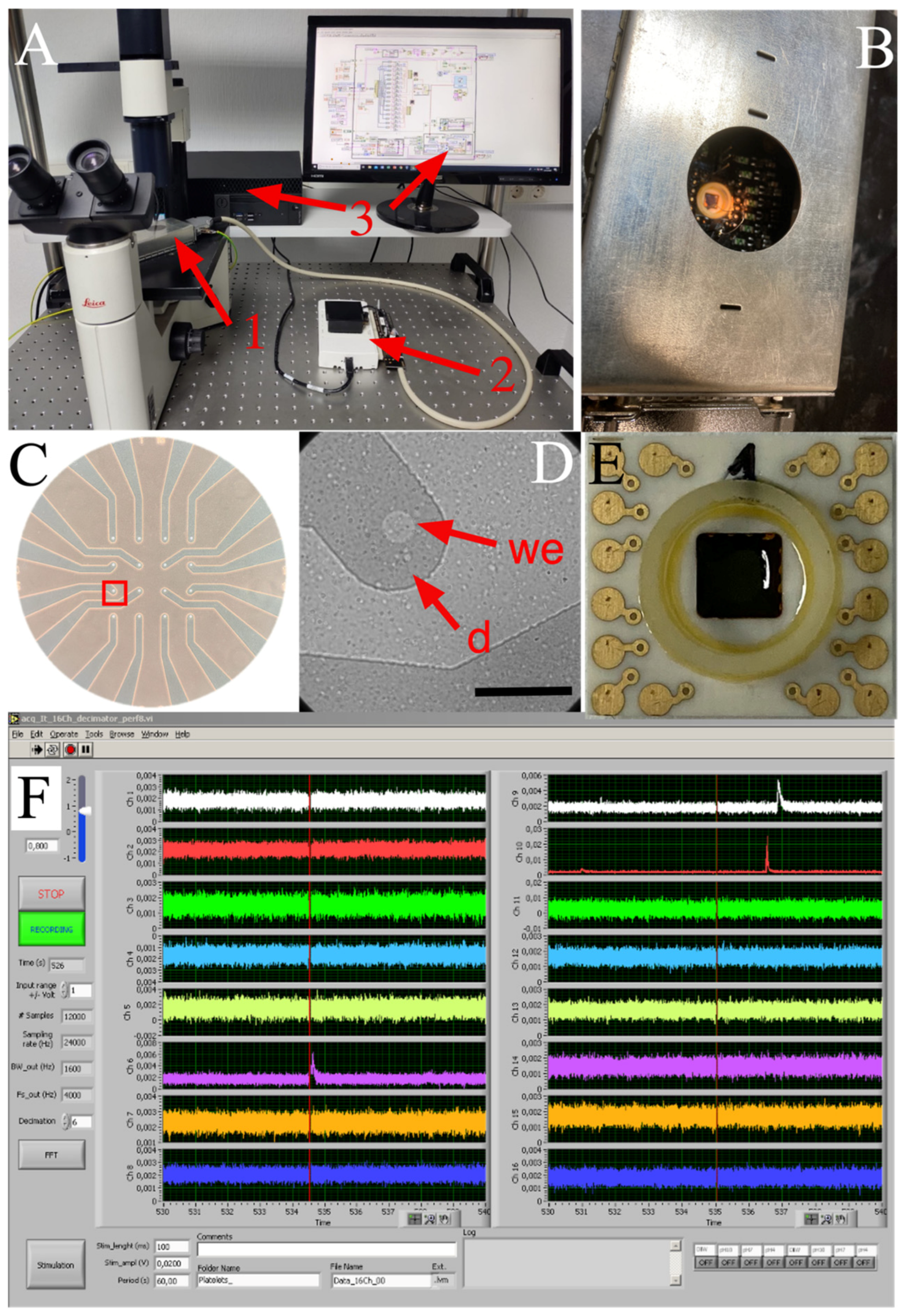 Biosensors 13 00086 g002
