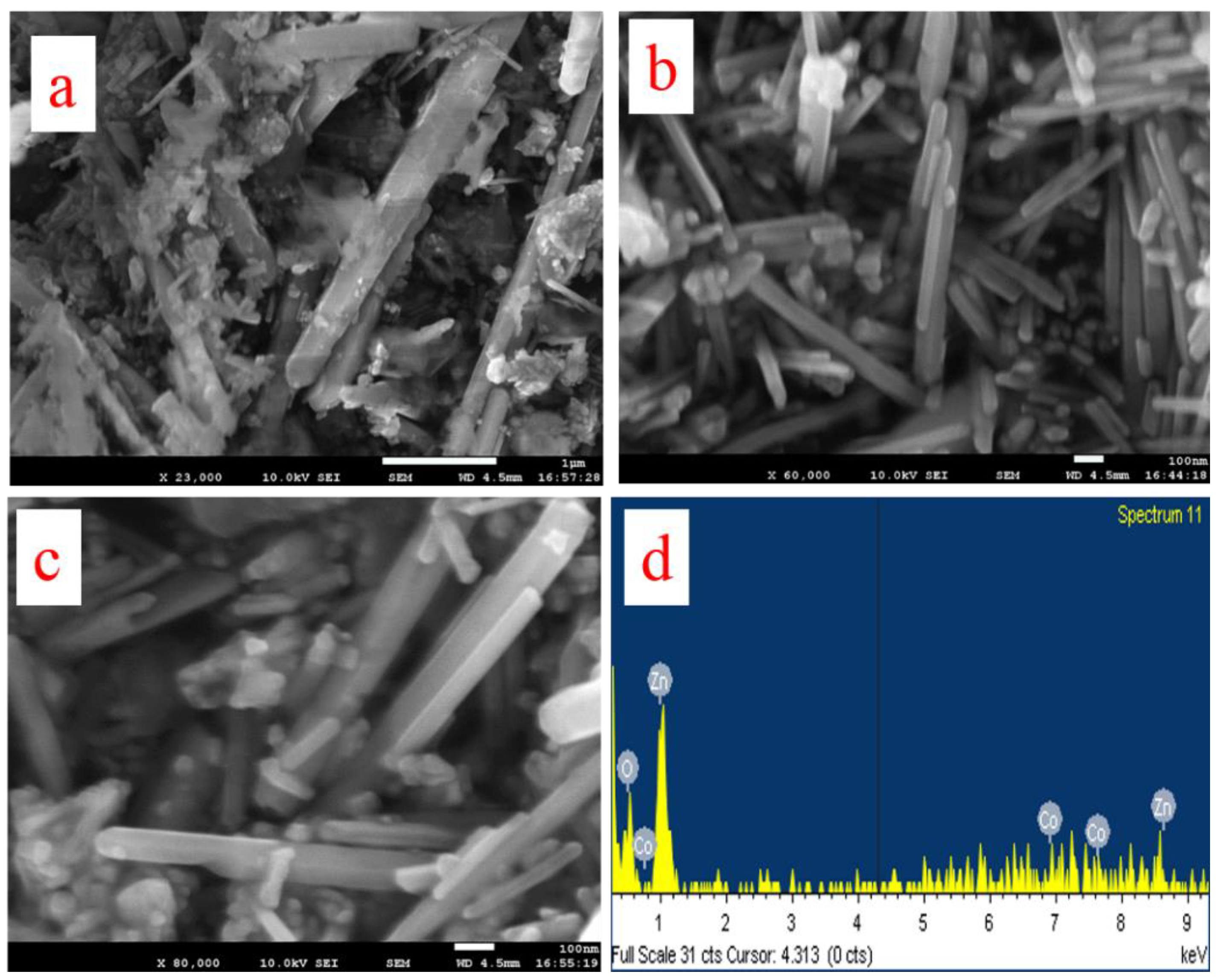 Biosensors 13 00088 g001