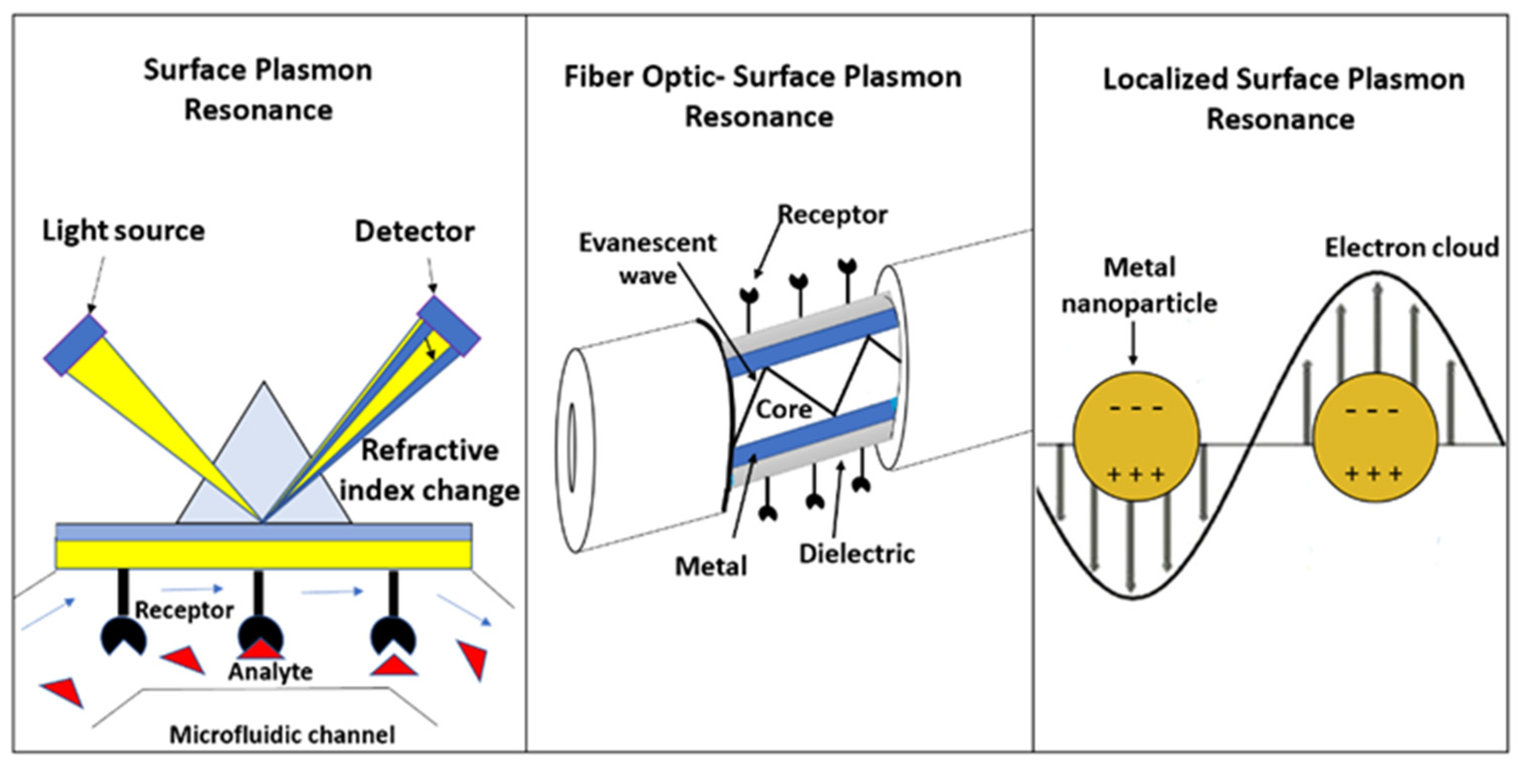 Biosensors 13 00090 g002