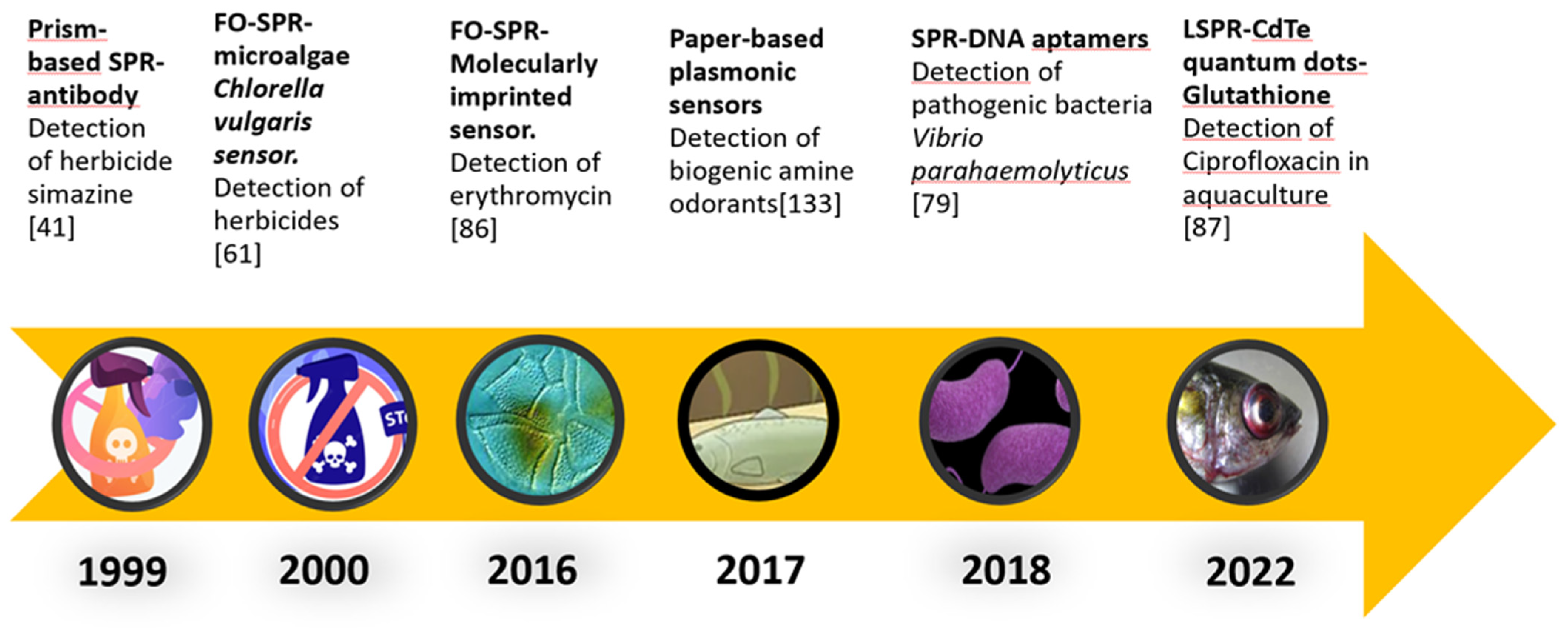 Biosensors 13 00090 g004