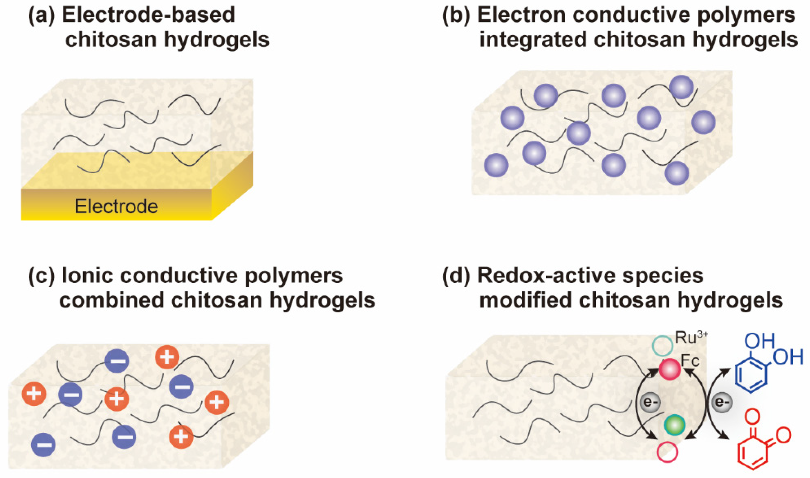 Biosensors 13 00093 g002