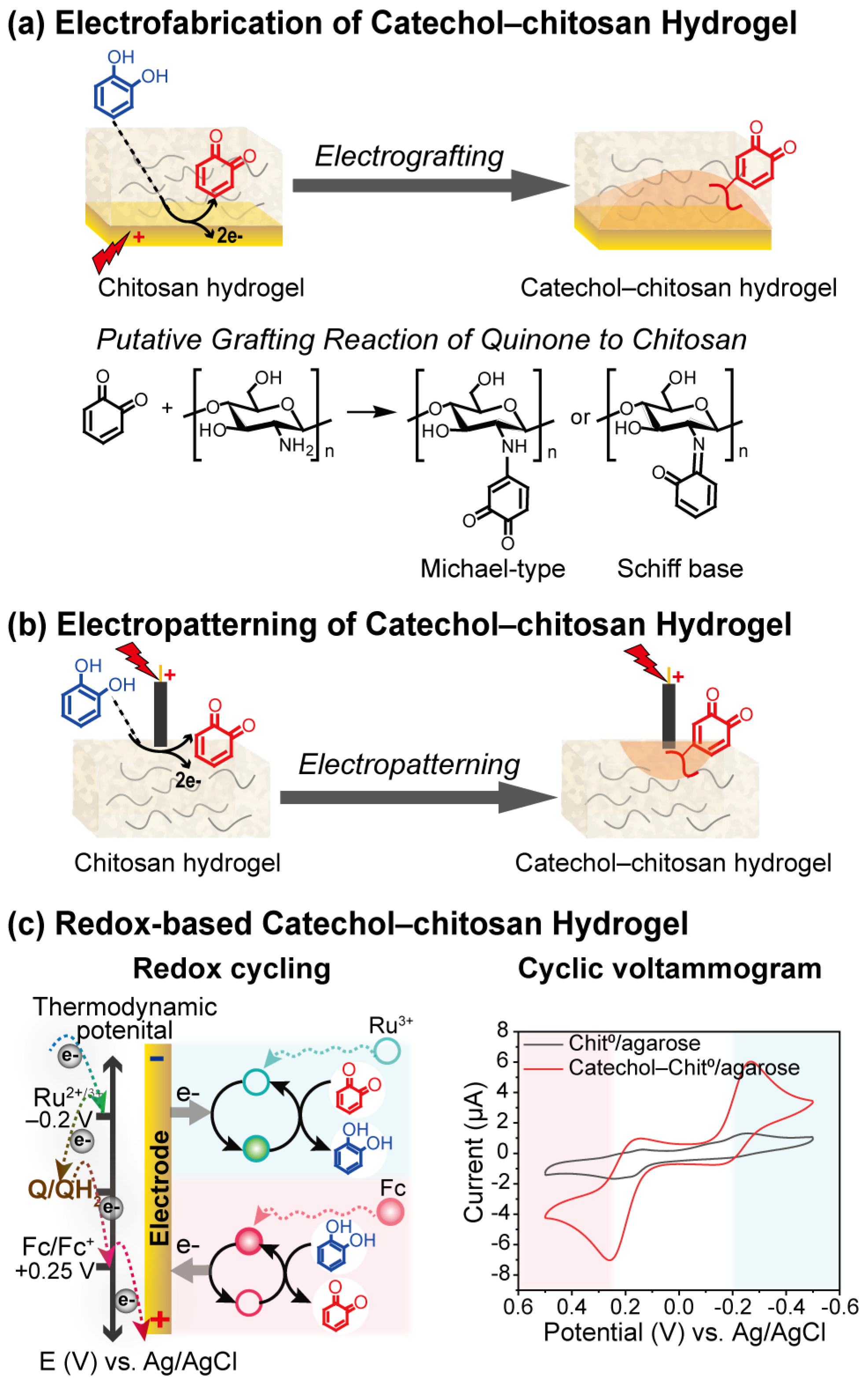 Biosensors 13 00093 g004