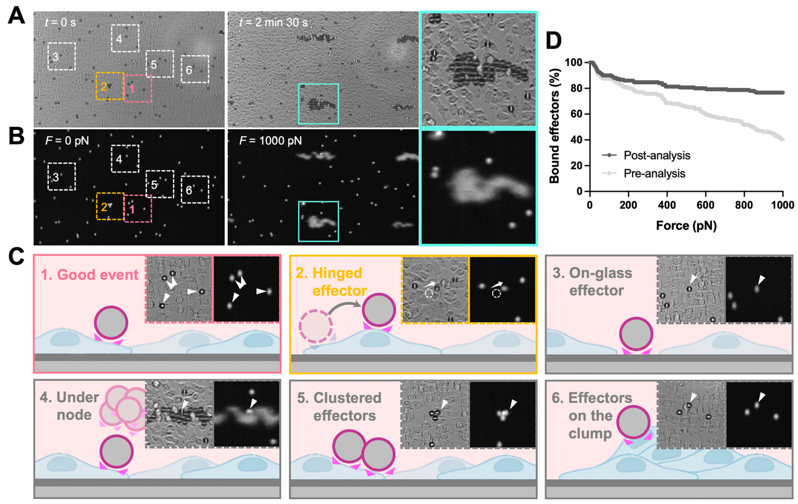 Biosensors 13 00095 g002