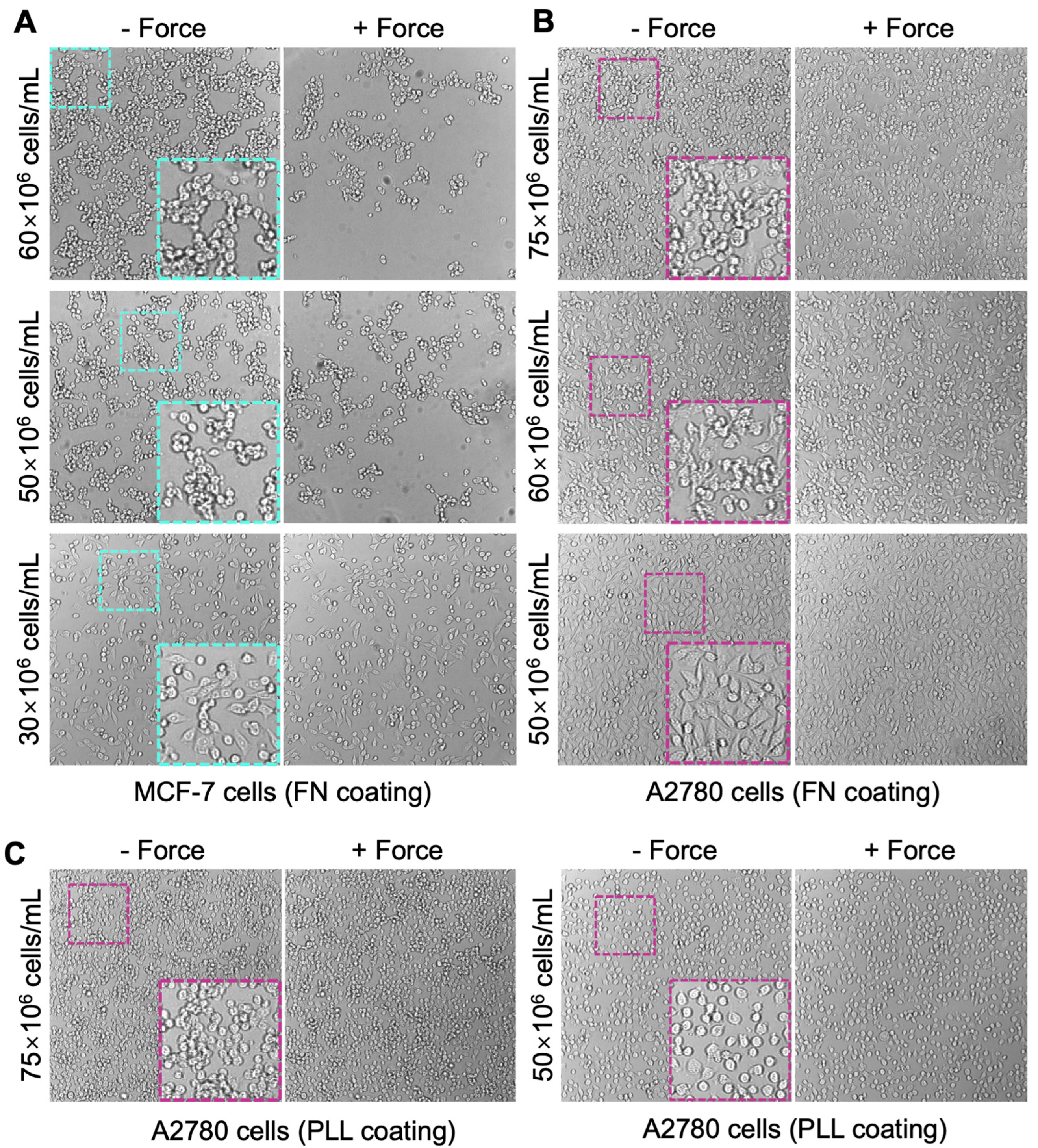 Biosensors 13 00095 g003