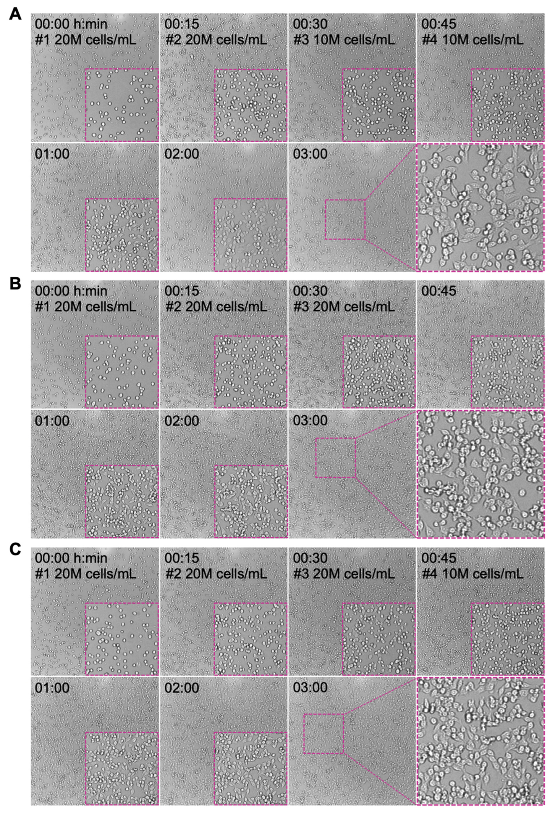 Biosensors 13 00095 g004