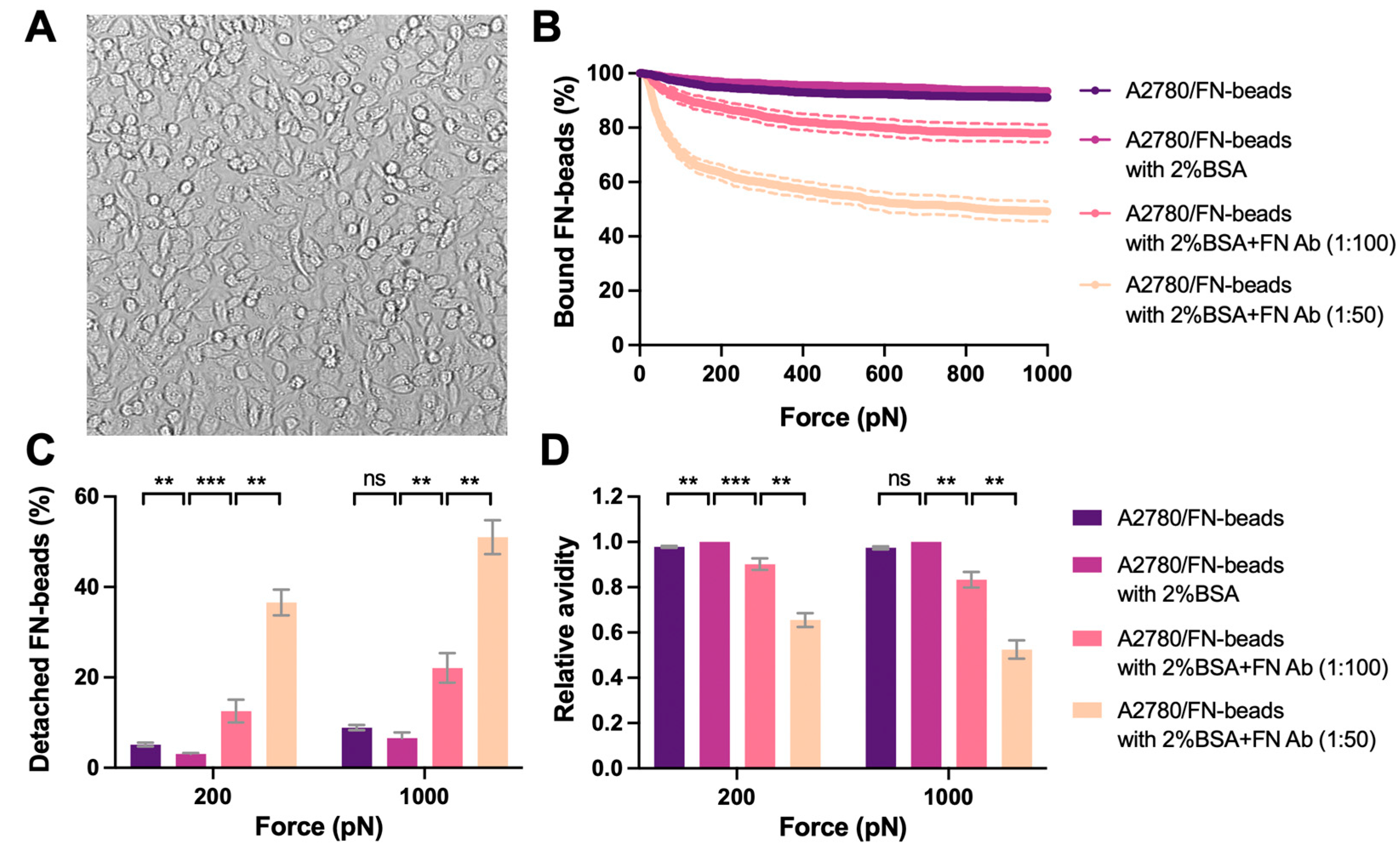 Biosensors 13 00095 g005