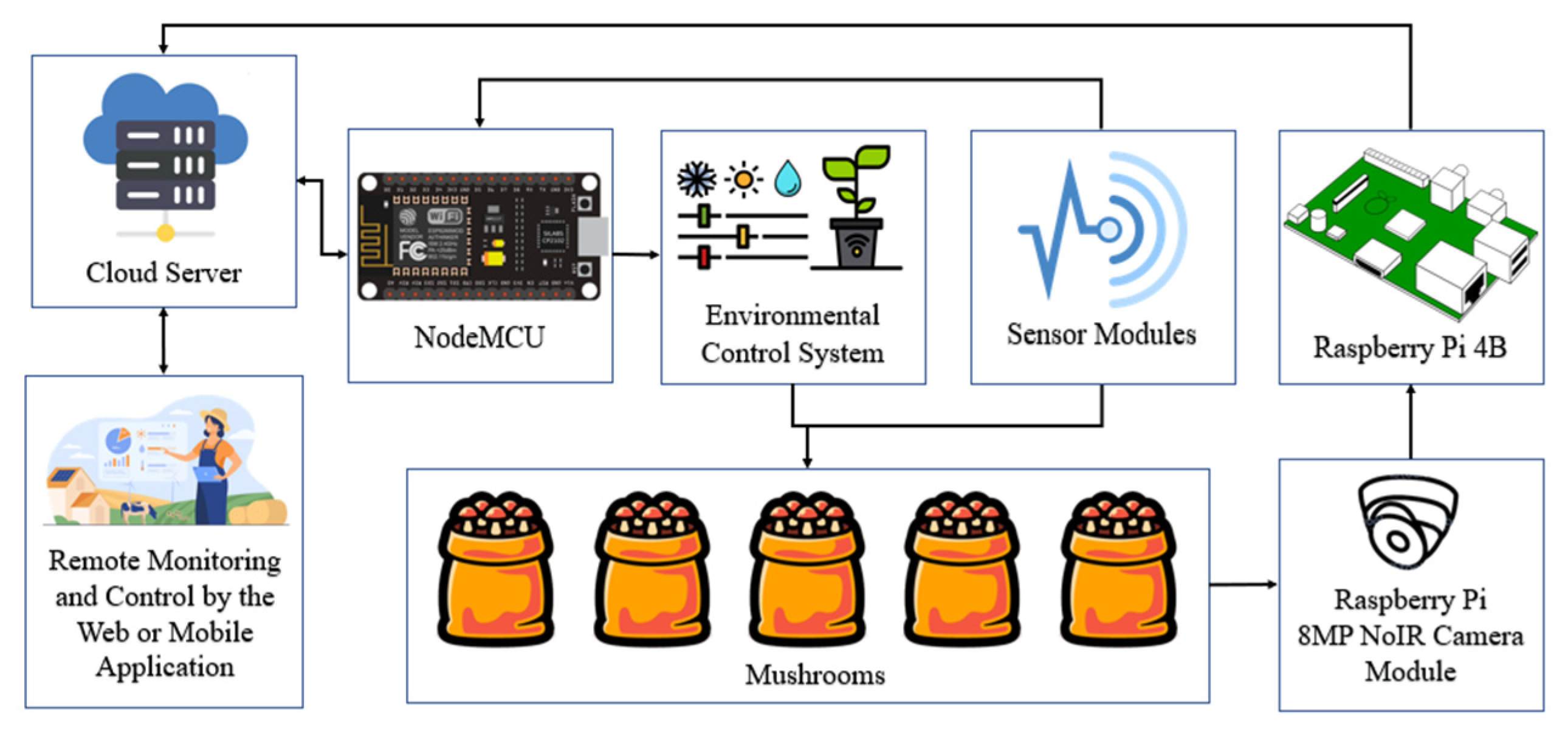 Biosensors 13 00098 g002