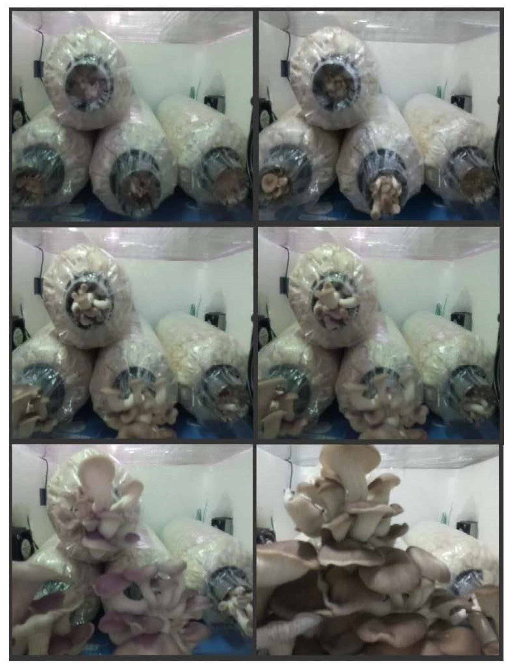 Biosensors 13 00098 g009