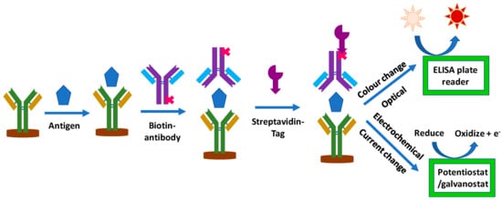 Biosensors 13 00099 g006