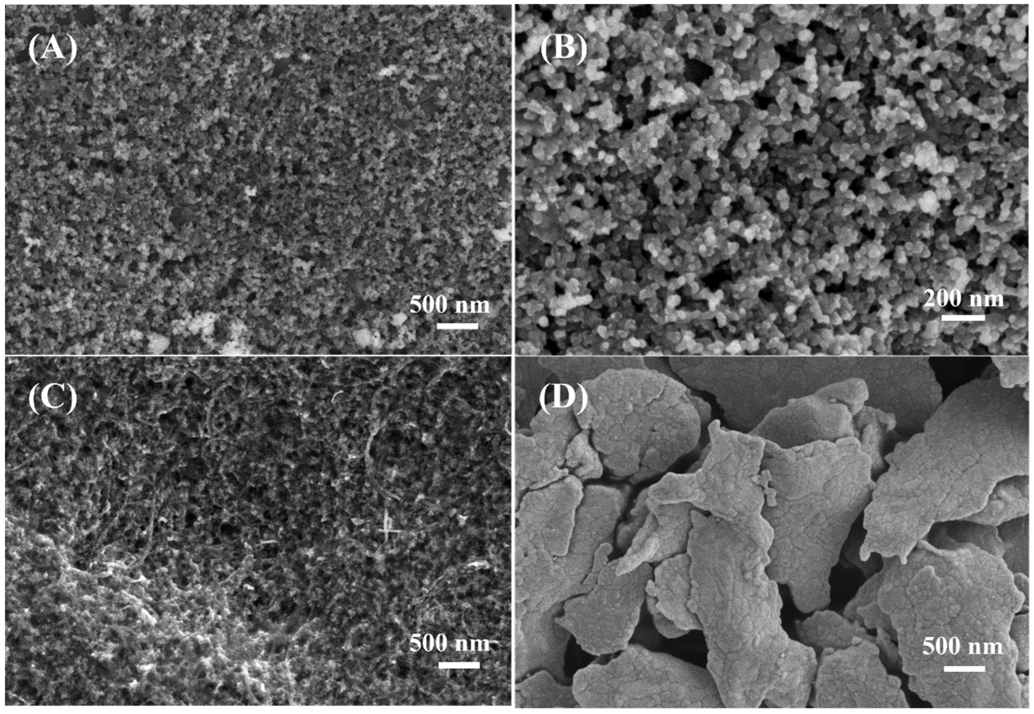 Biosensors 13 00105 g002