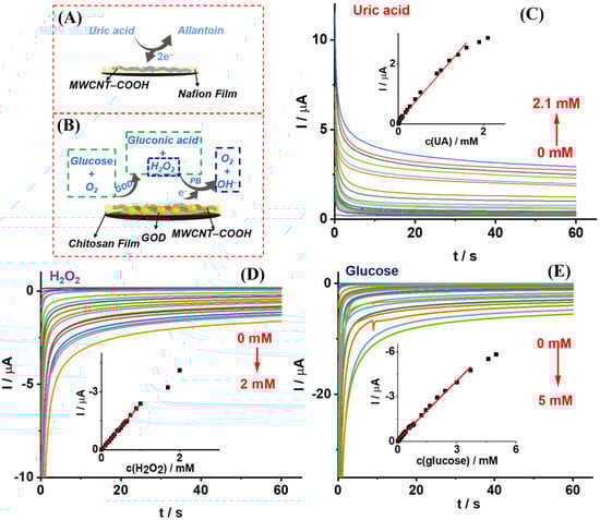 Biosensors 13 00105 g004
