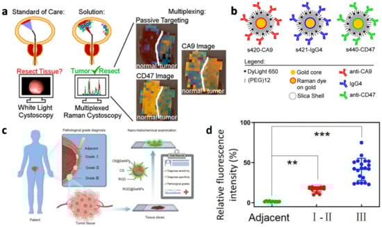 Biosensors 13 00106 g008