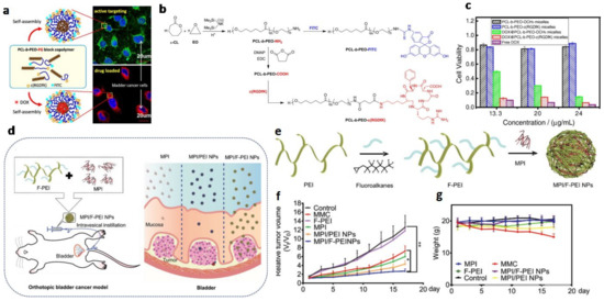 Biosensors 13 00106 g010