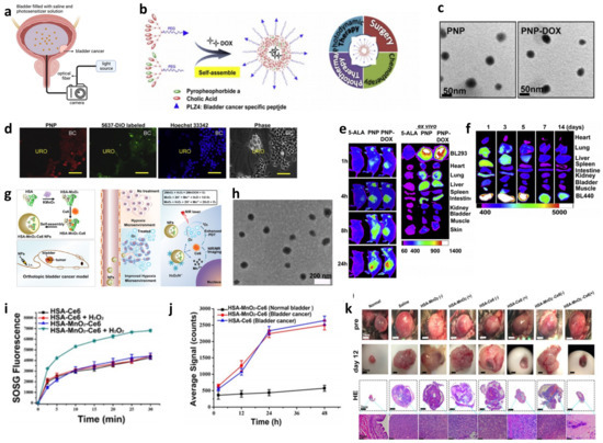 Biosensors 13 00106 g012