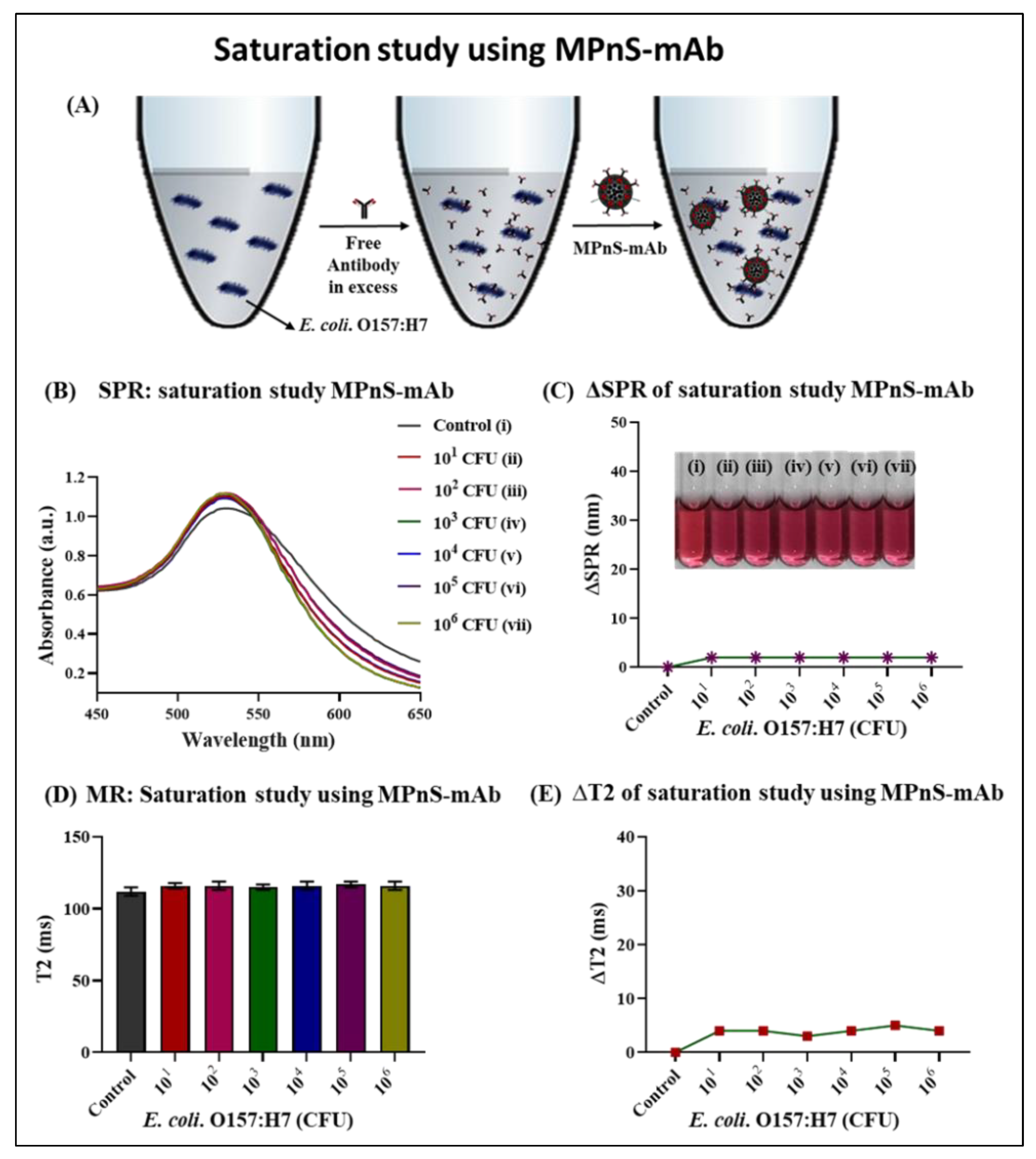 Biosensors 13 00109 g004