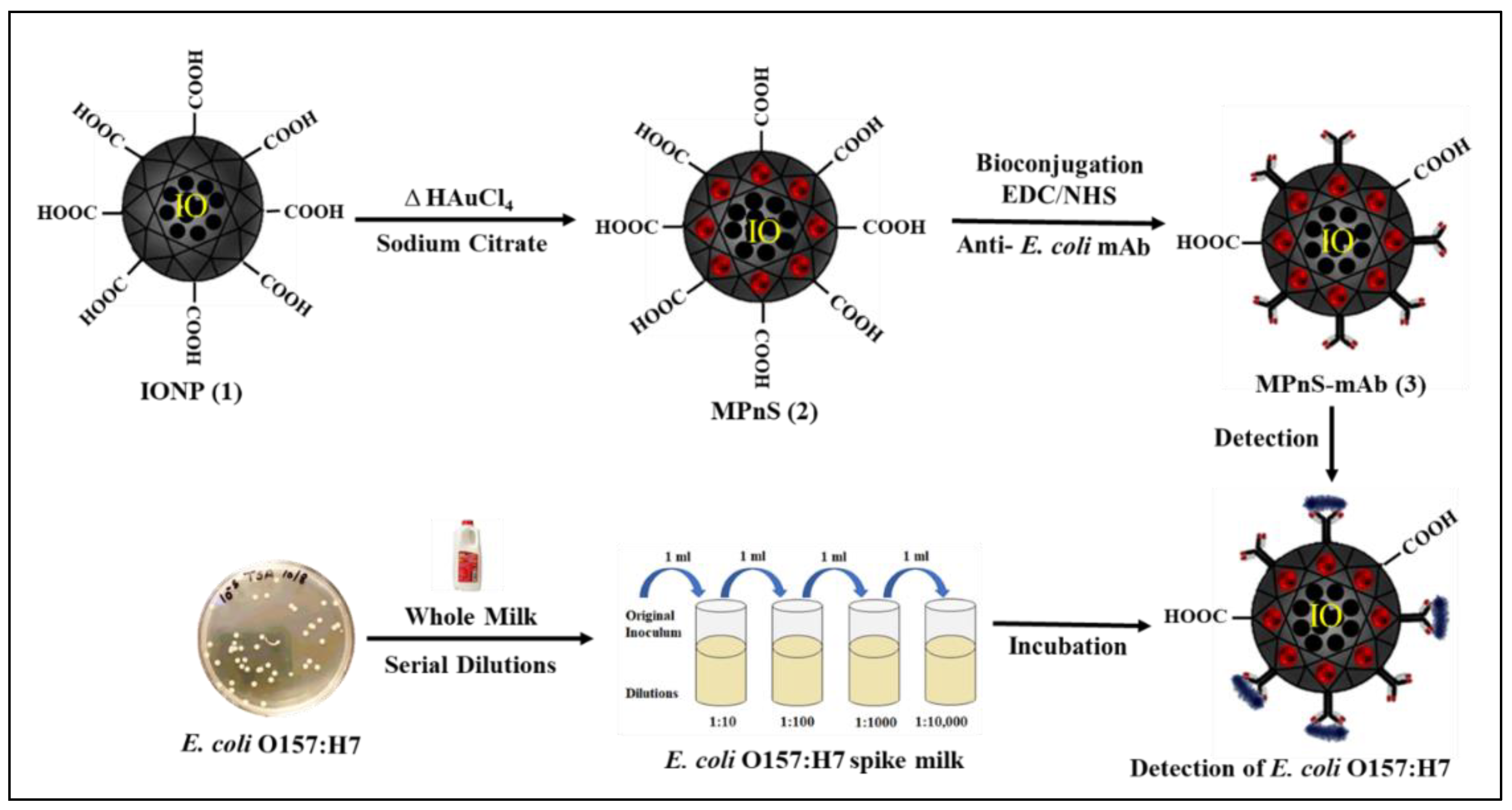 Biosensors 13 00109 sch001