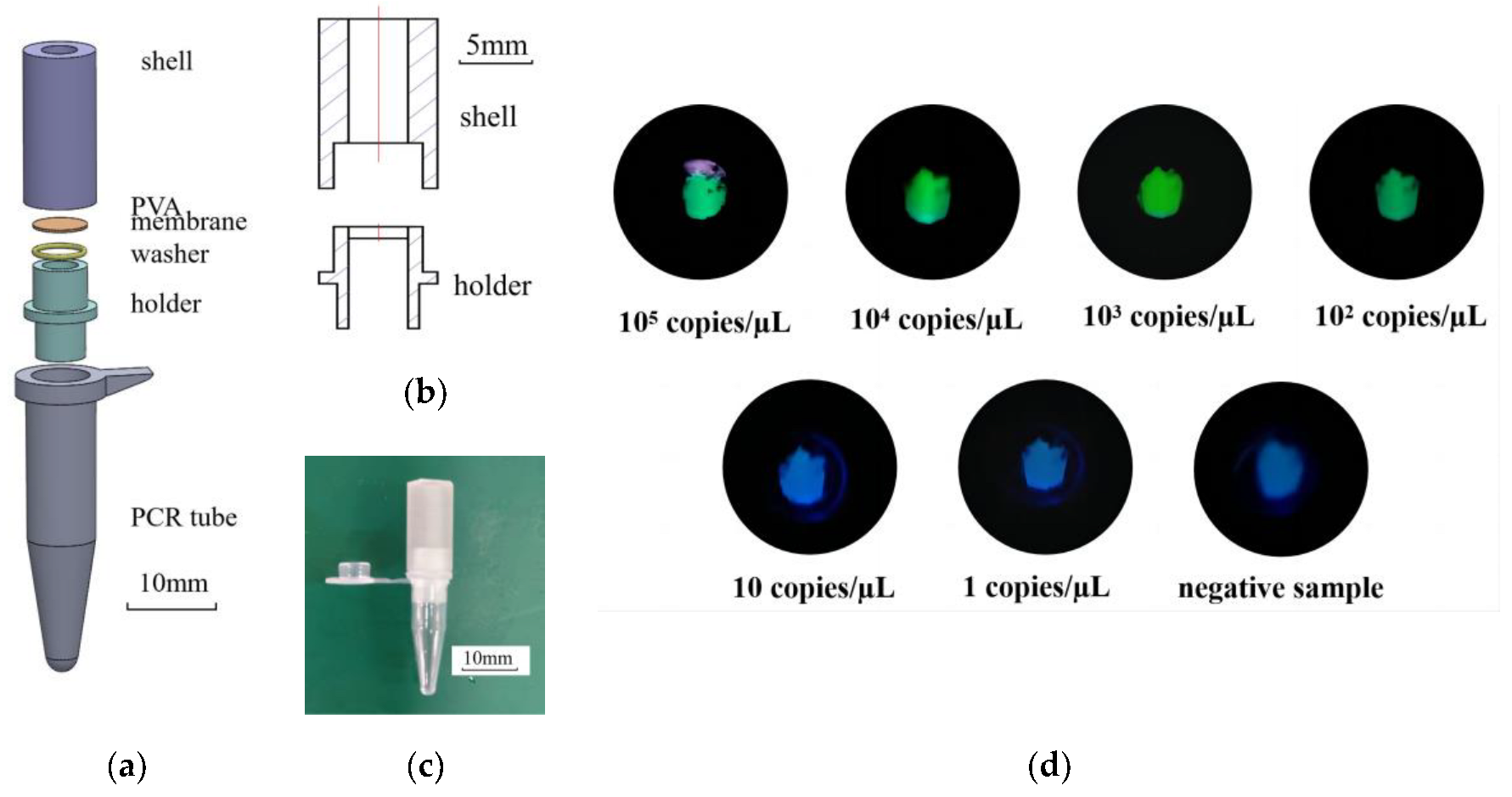 Biosensors 13 00111 g003 Biosensors 13 00111 g003