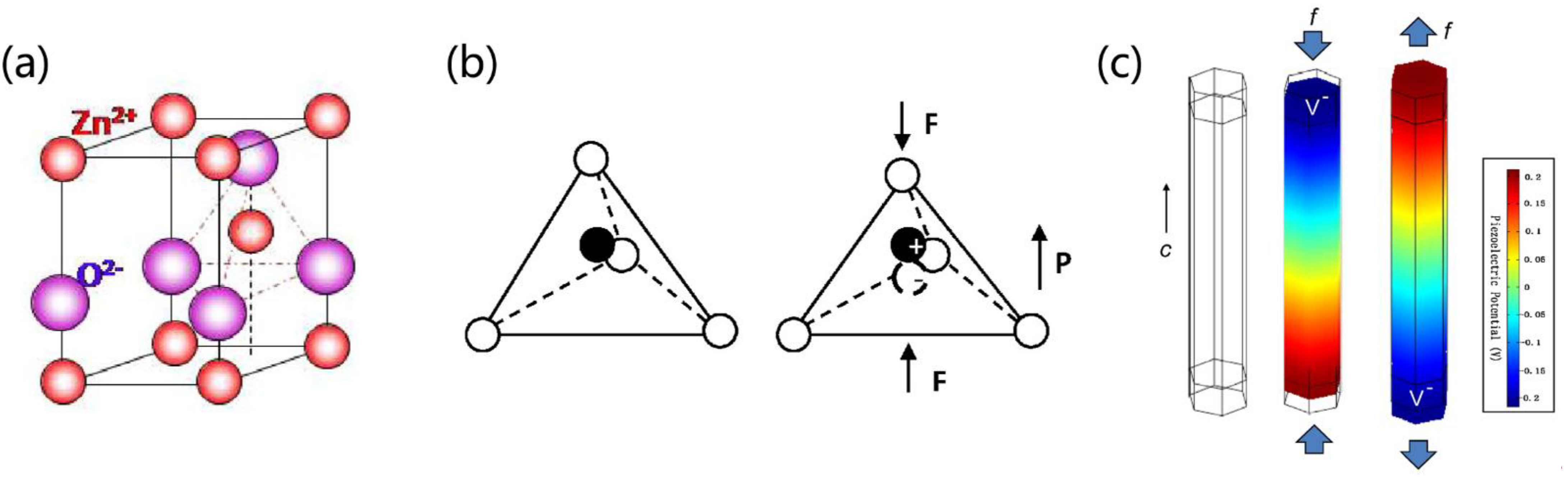 Biosensors 13 00113 g002