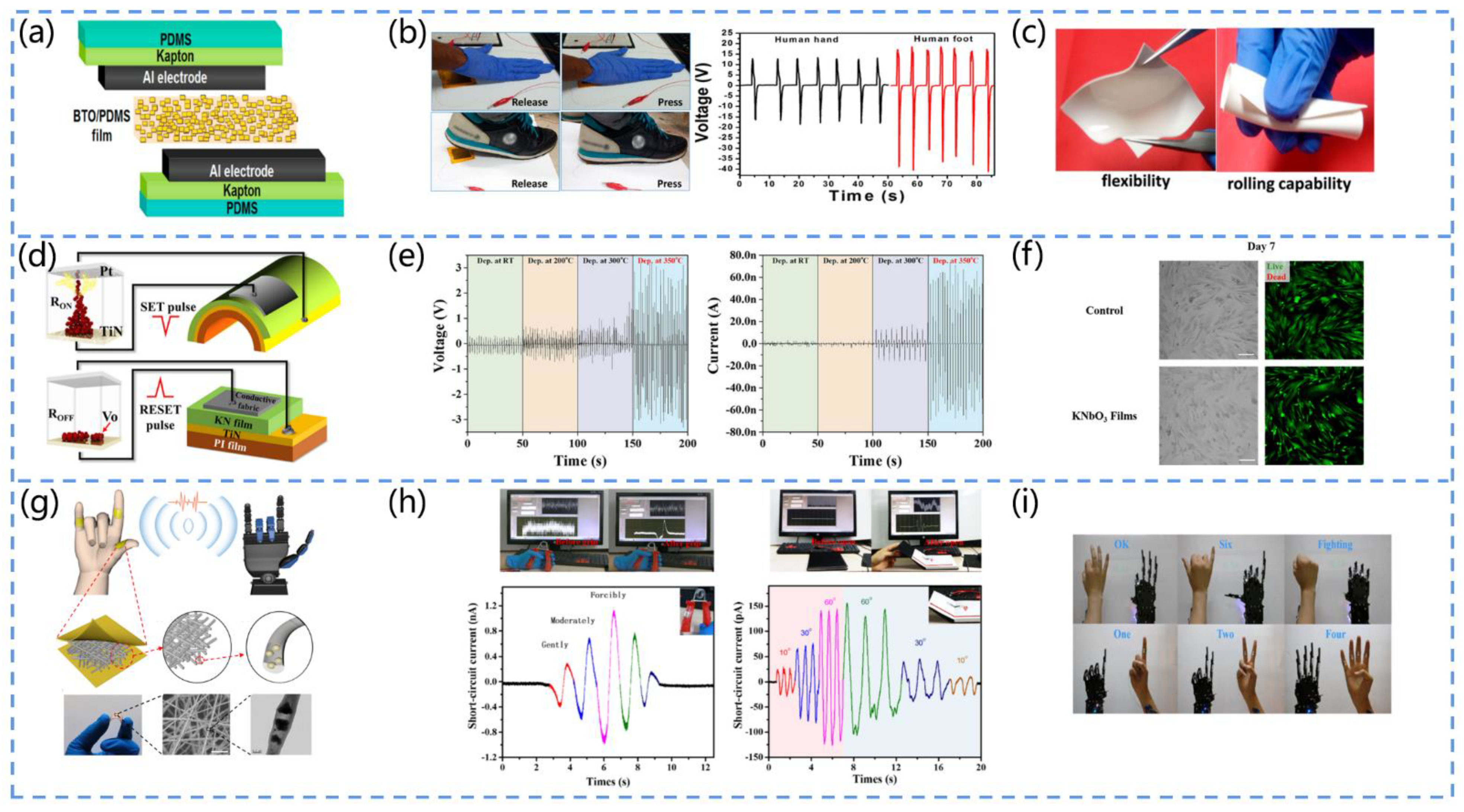 Biosensors 13 00113 g008