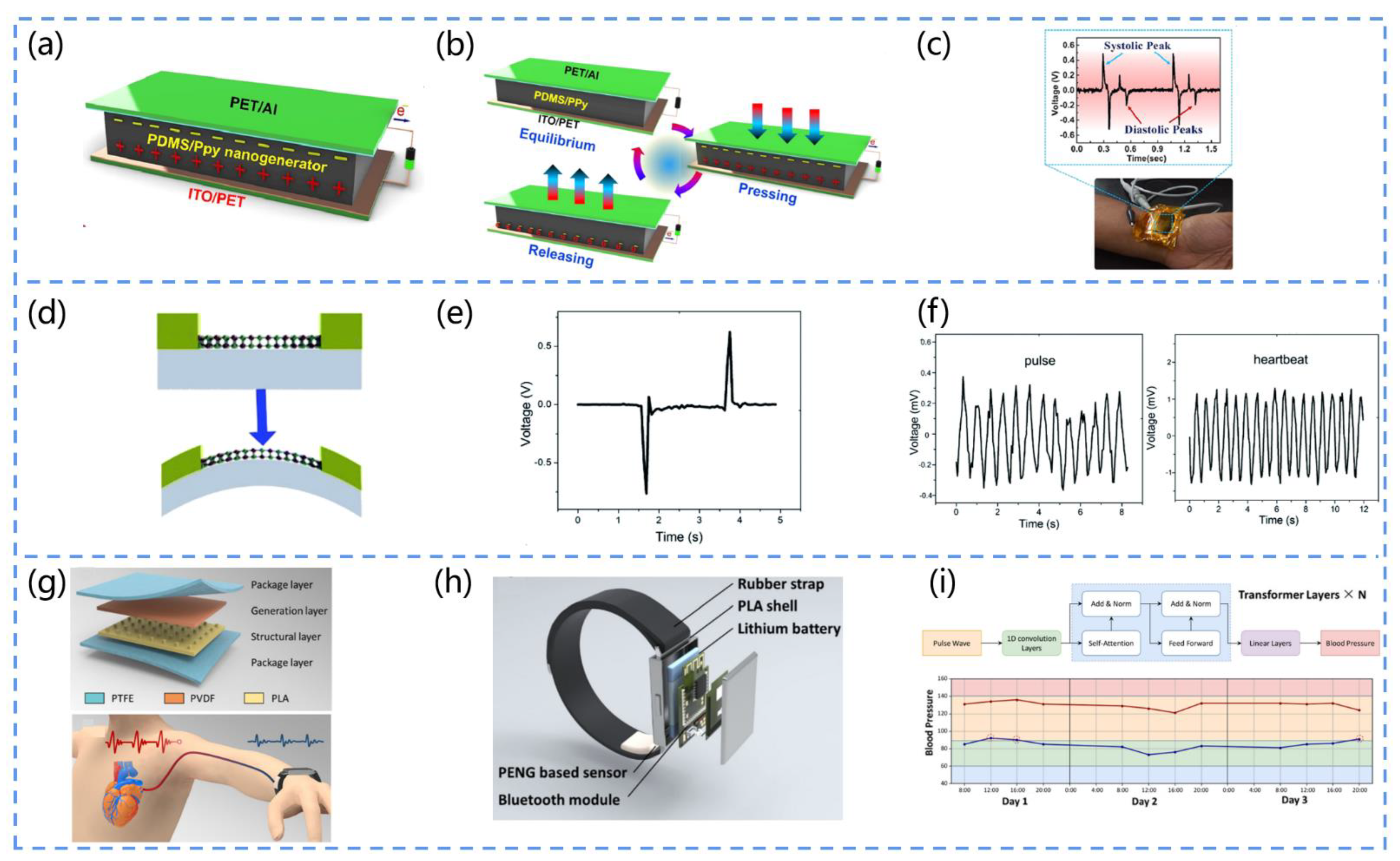 Biosensors 13 00113 g011