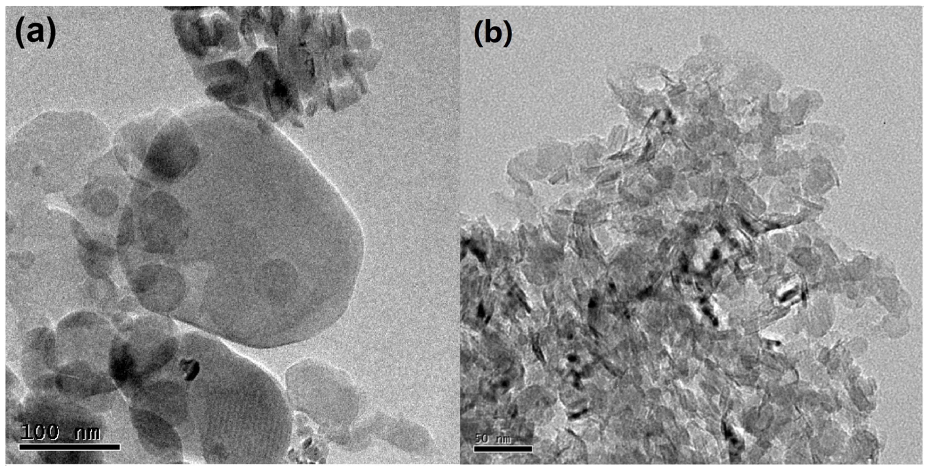 Biosensors 13 00116 g002