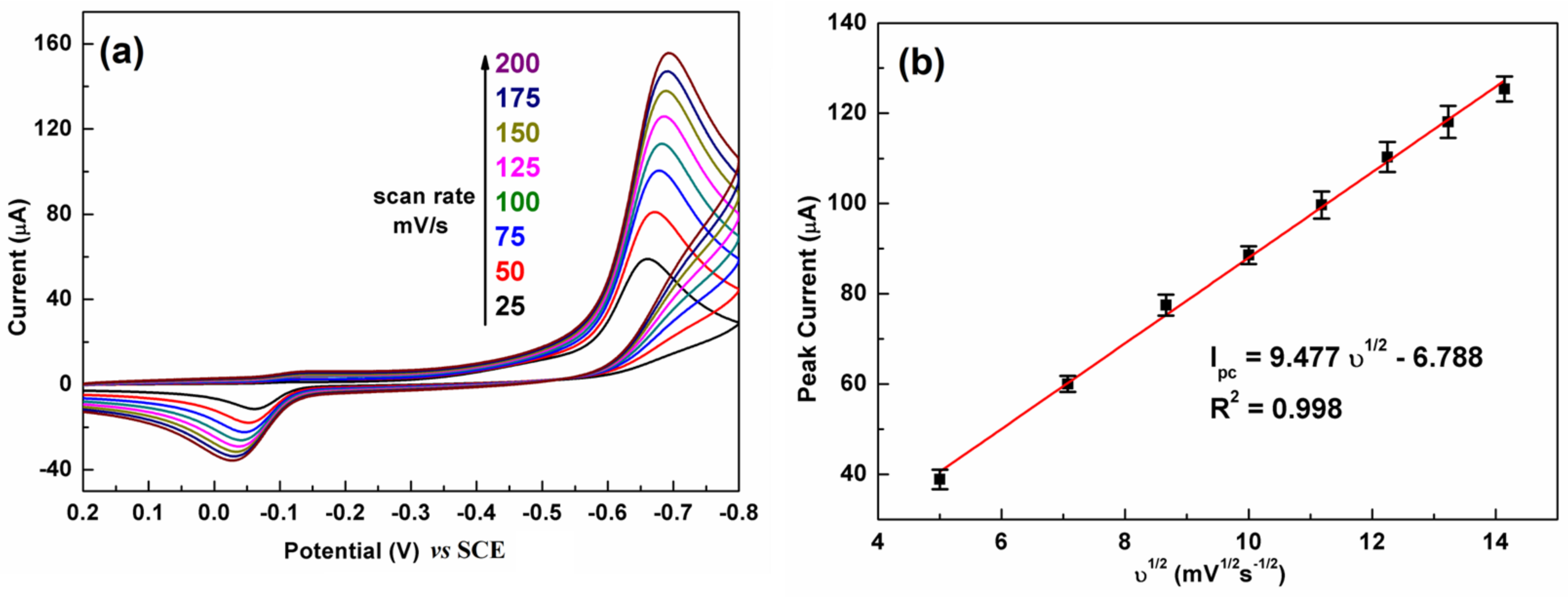 Biosensors 13 00116 g006