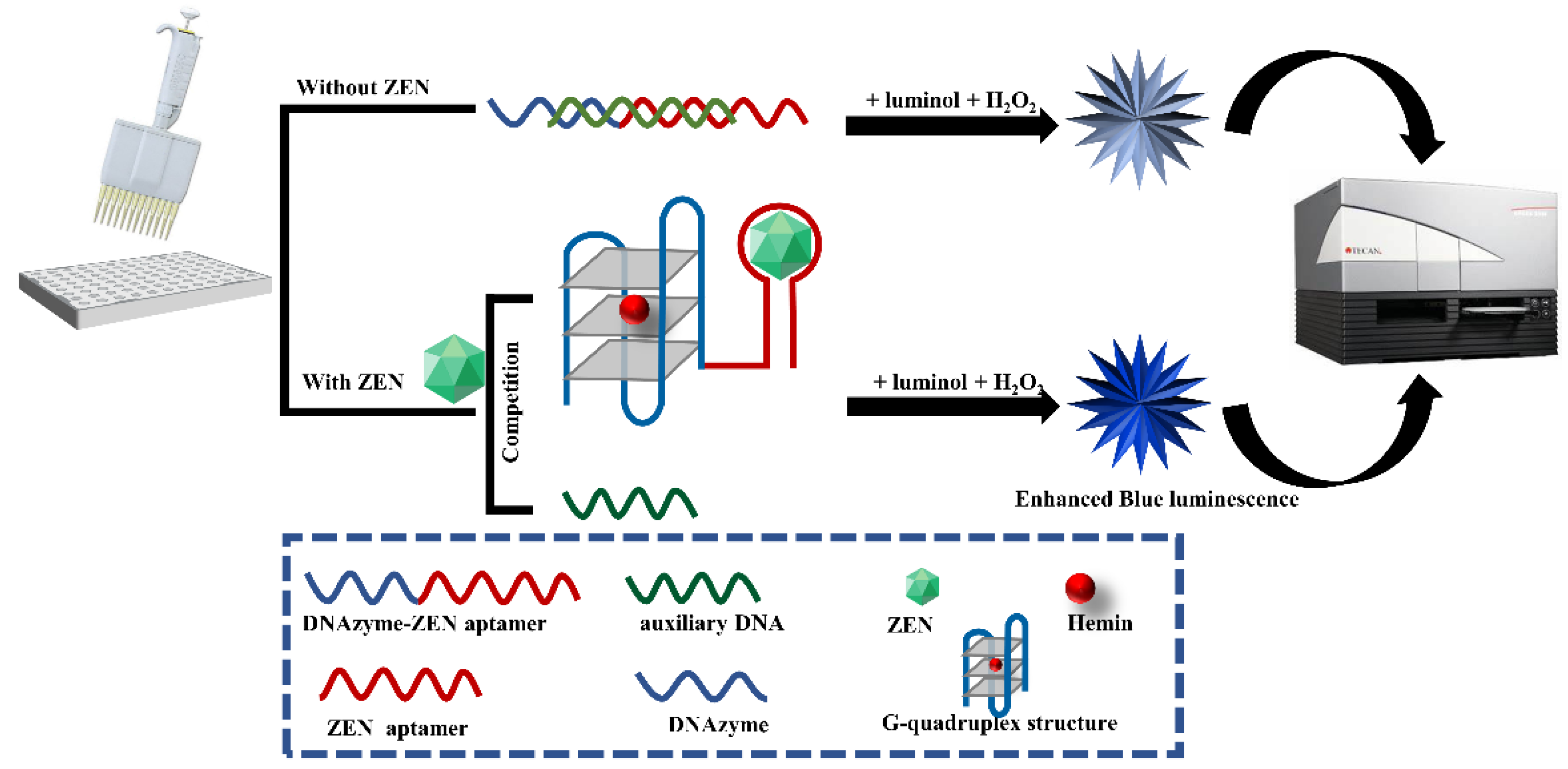 Biosensors 13 00118 g001