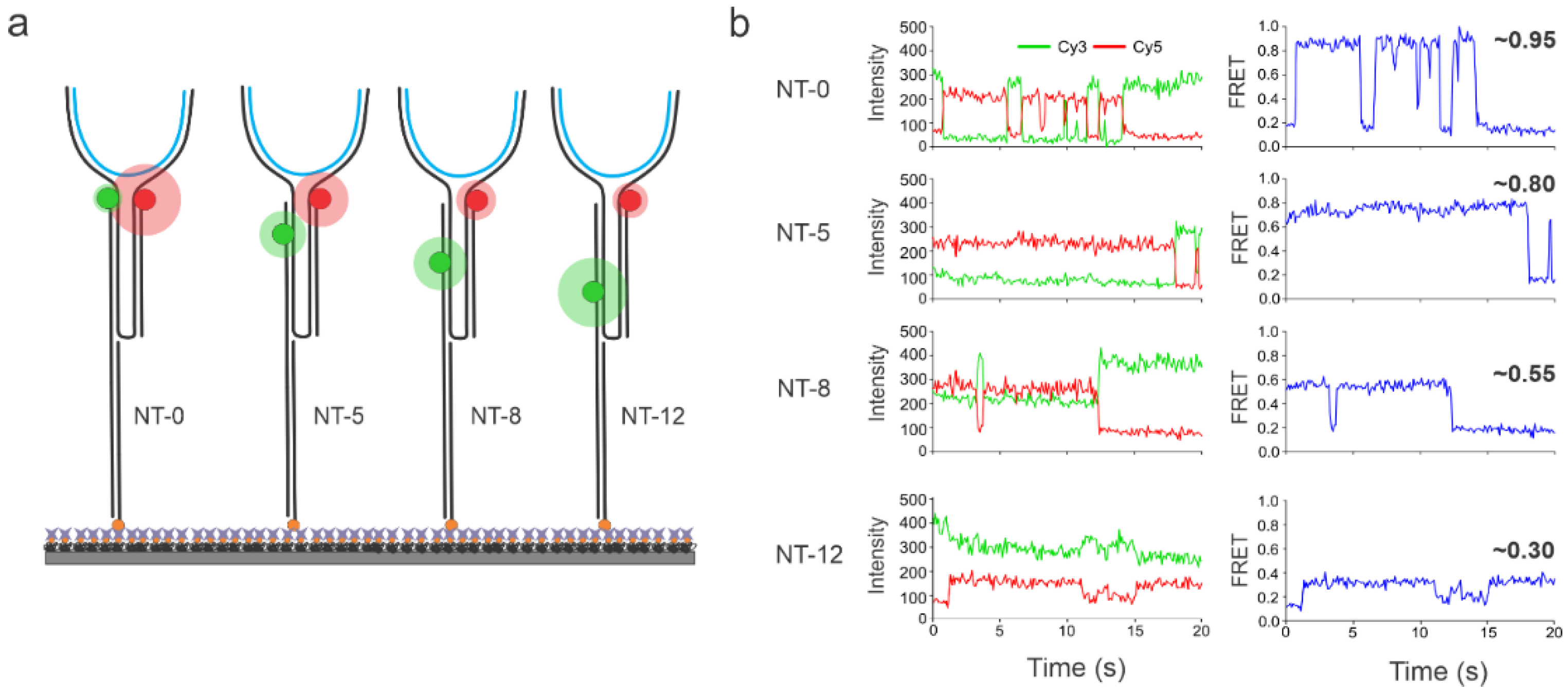 Biosensors 13 00119 g005