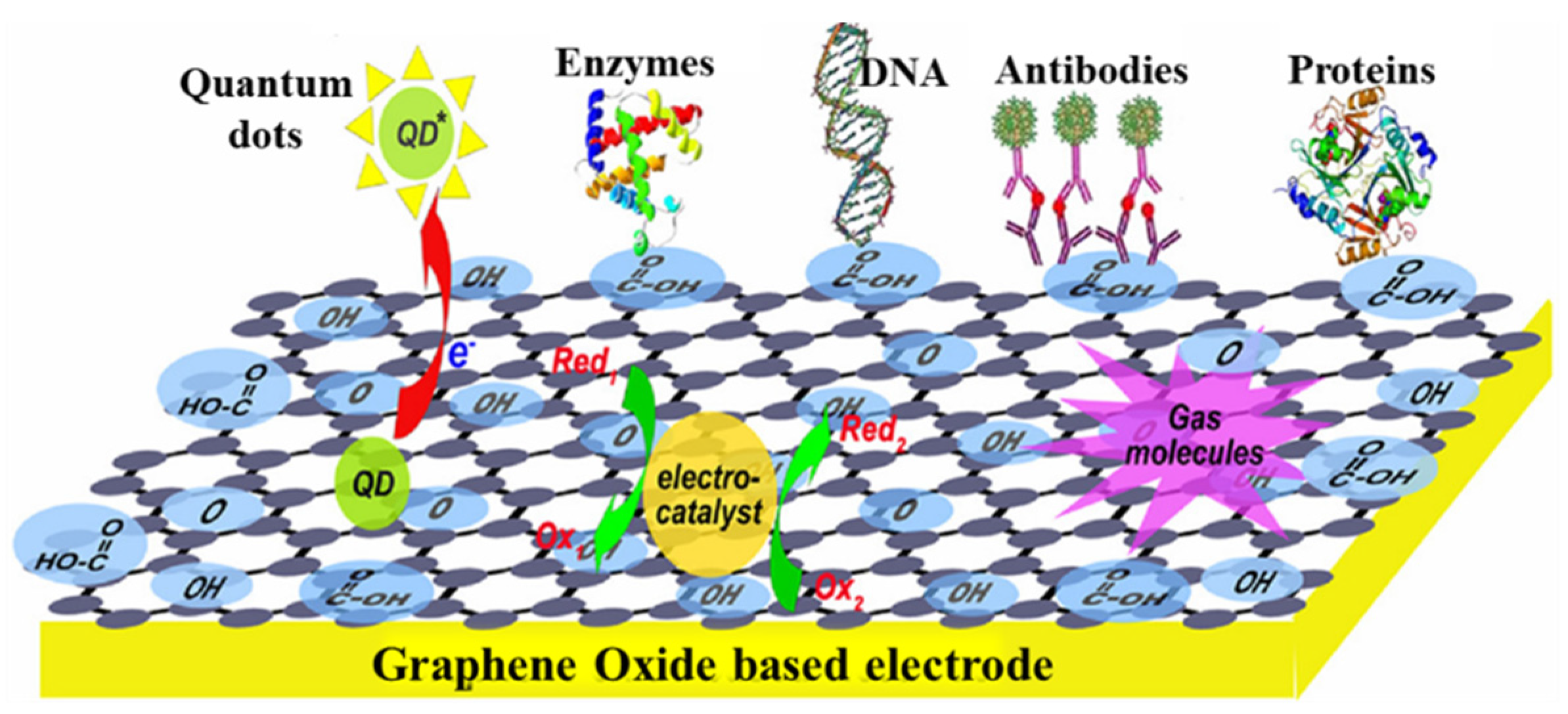 Biosensors 13 00125 g009