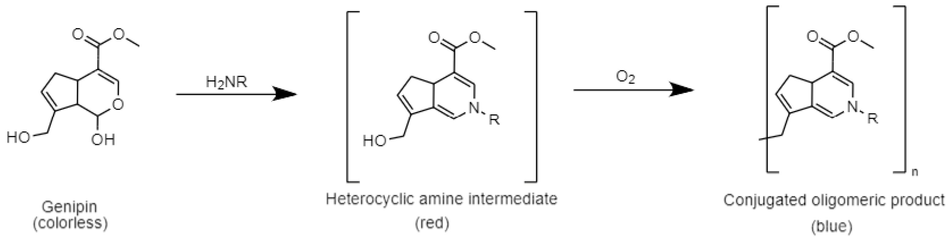 Biosensors 13 00126 g001