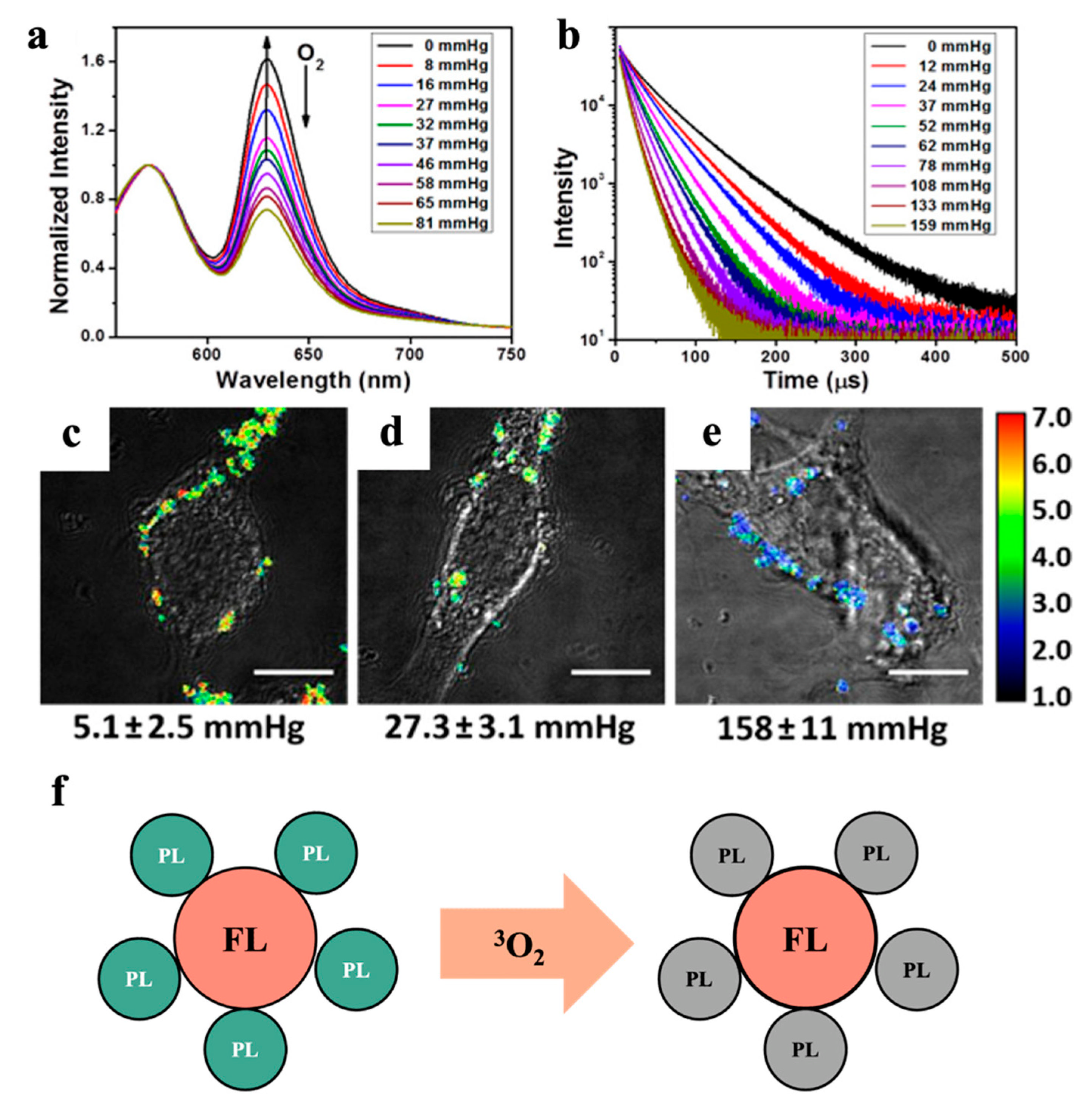 Biosensors 13 00128 g004