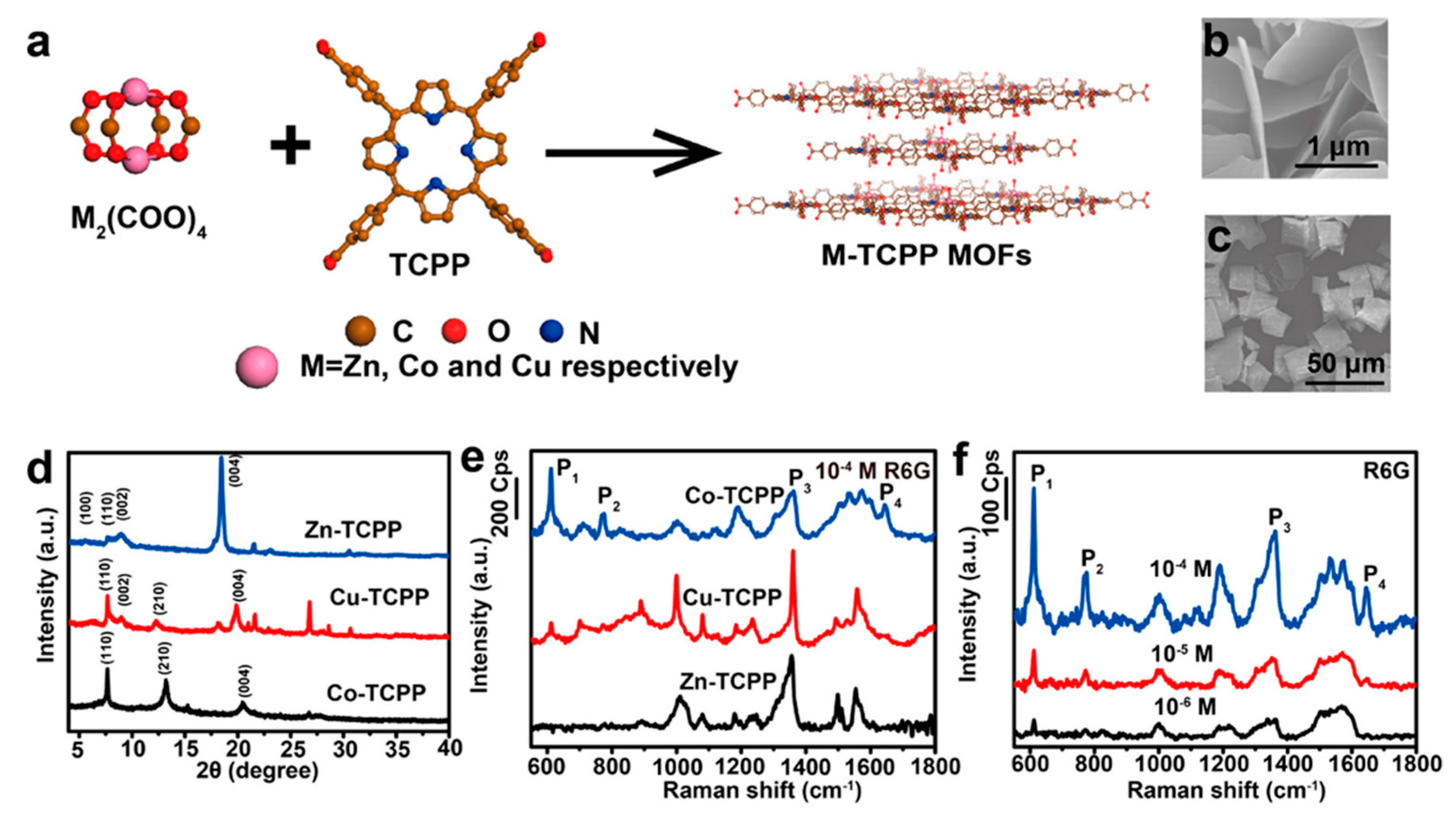 Biosensors 13 00128 g006