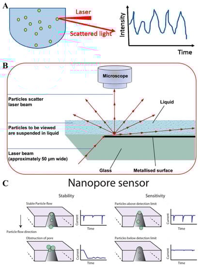 Biosensors 13 00129 g002
