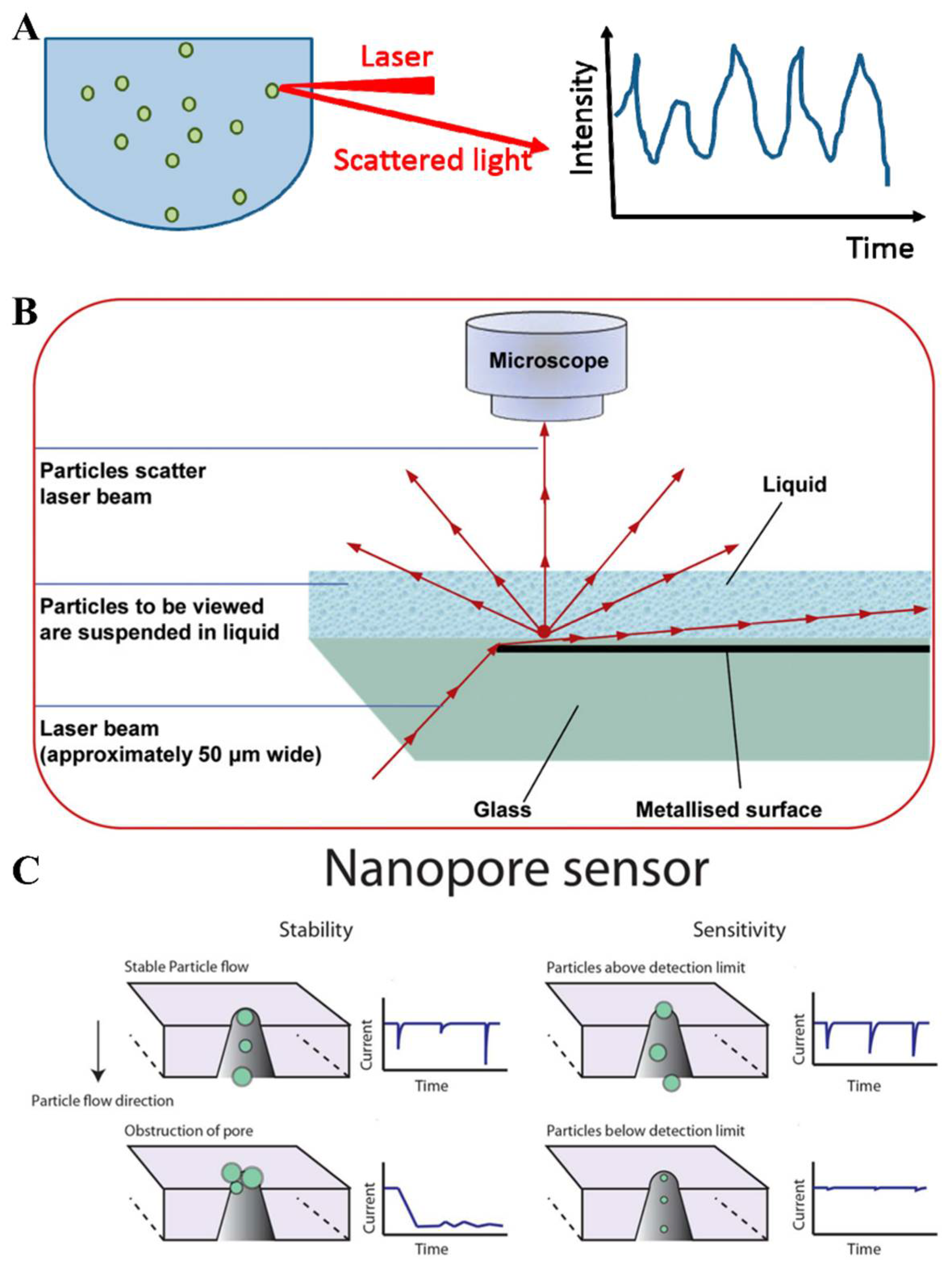 Biosensors 13 00129 g002