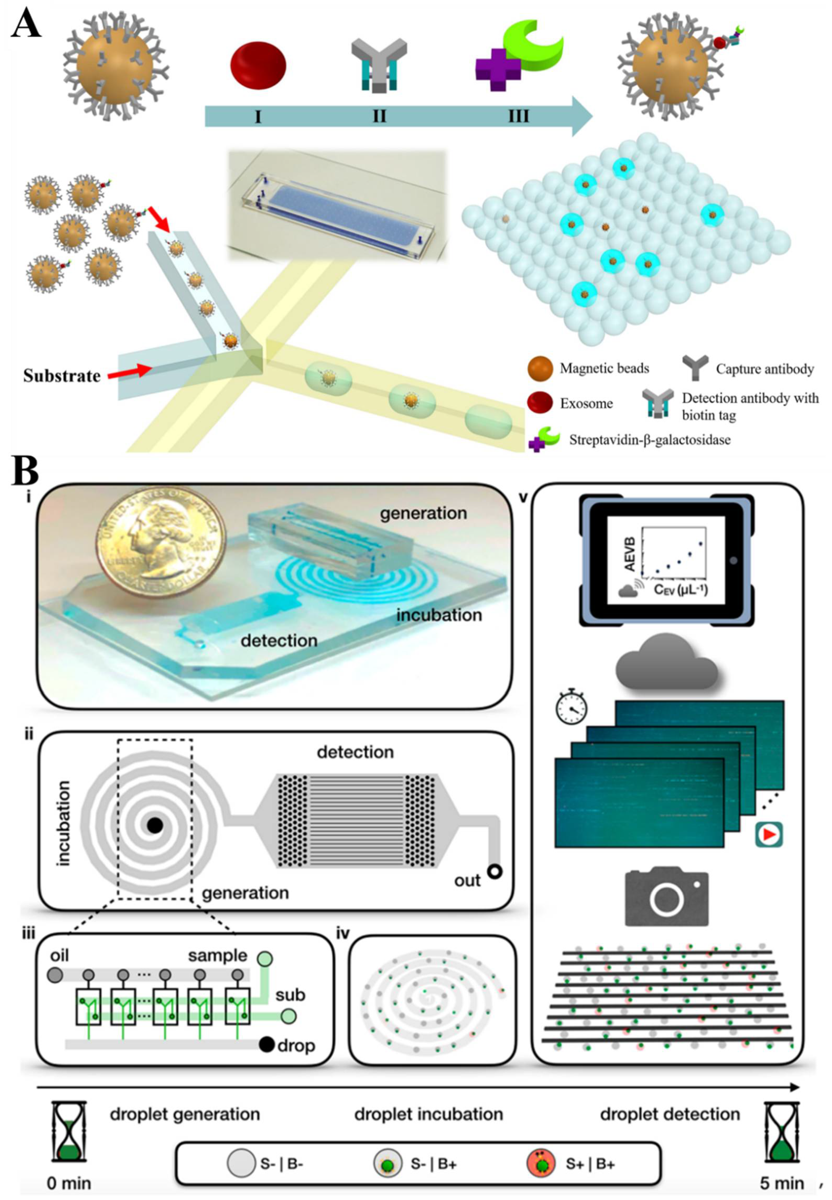 Biosensors 13 00129 g004