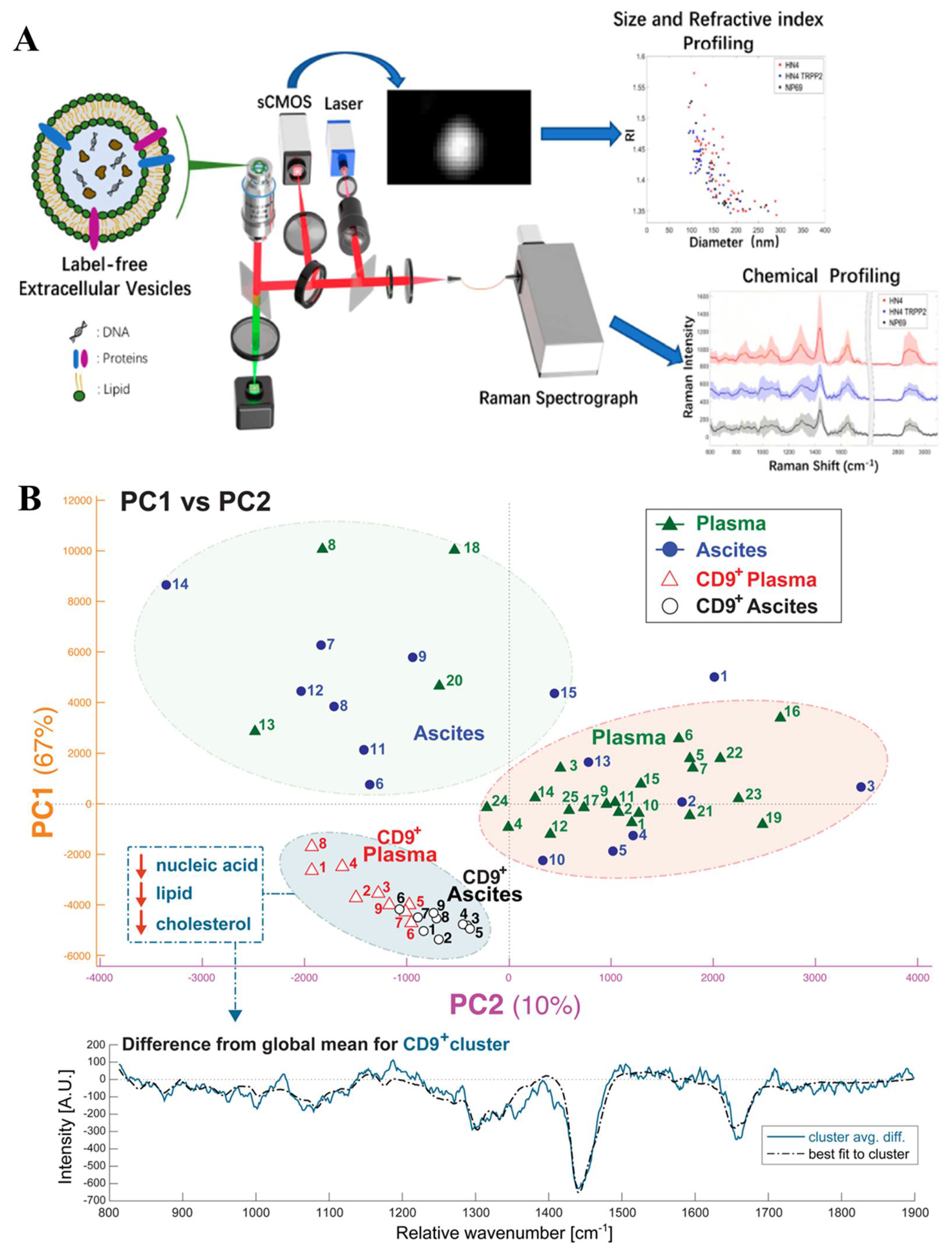 Biosensors 13 00129 g006