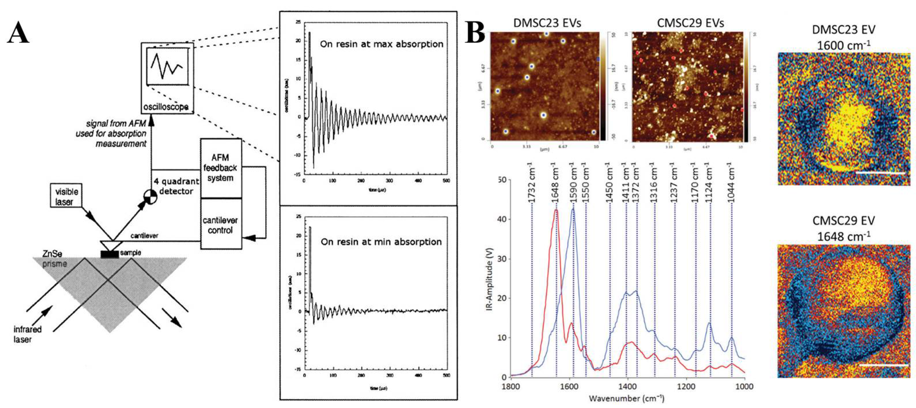 Biosensors 13 00129 g008