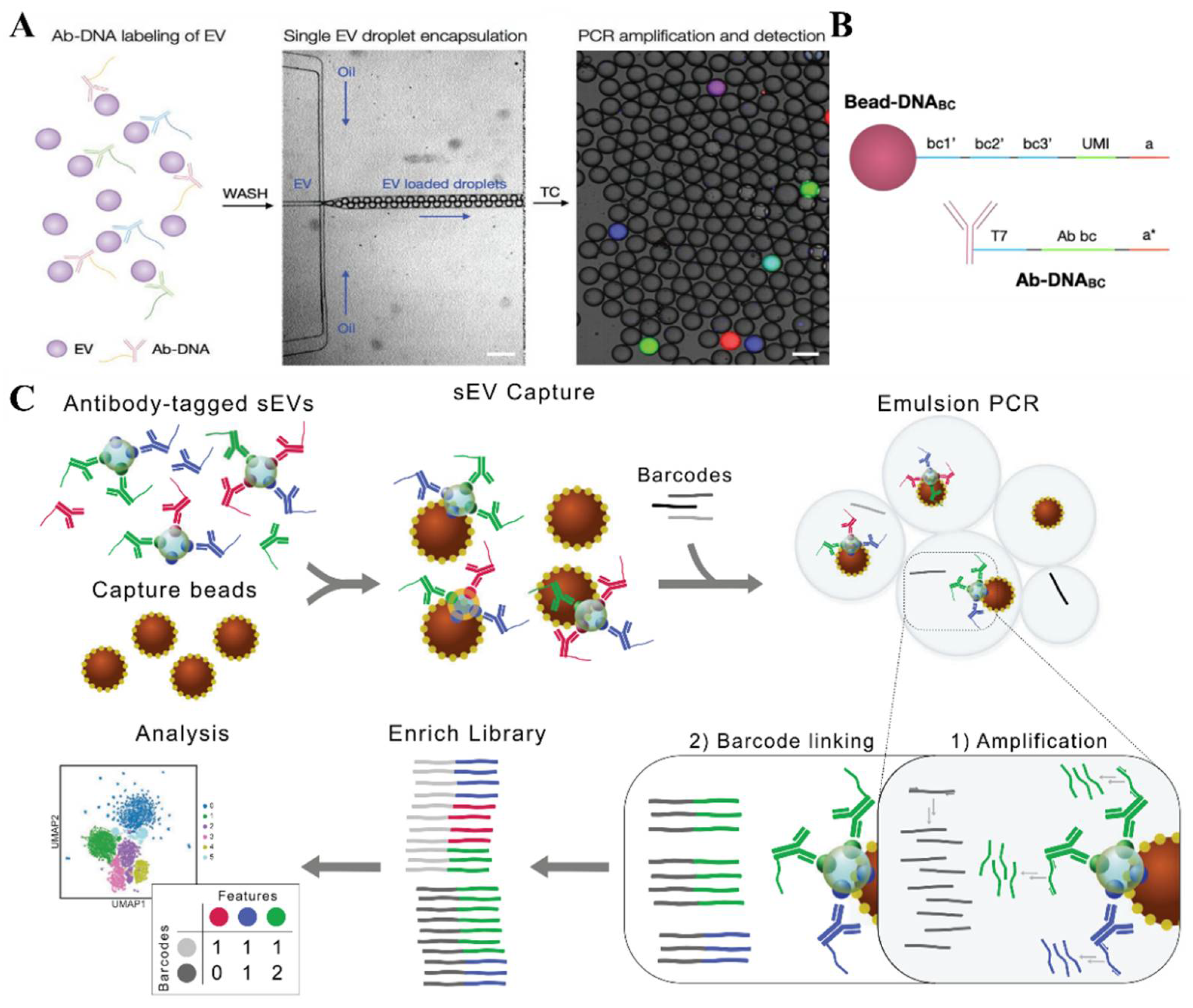 Biosensors 13 00129 g009