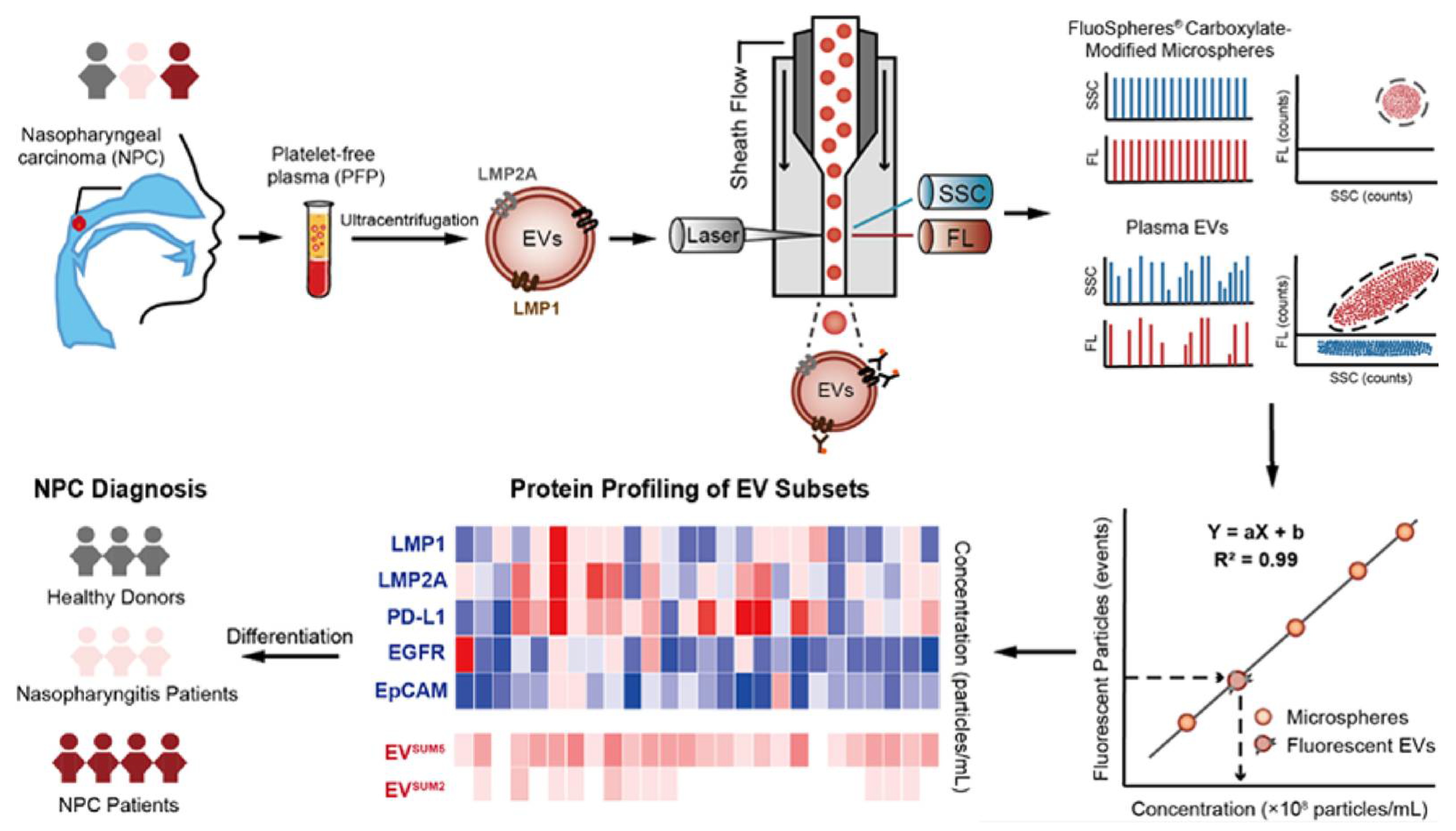 Biosensors 13 00129 g010