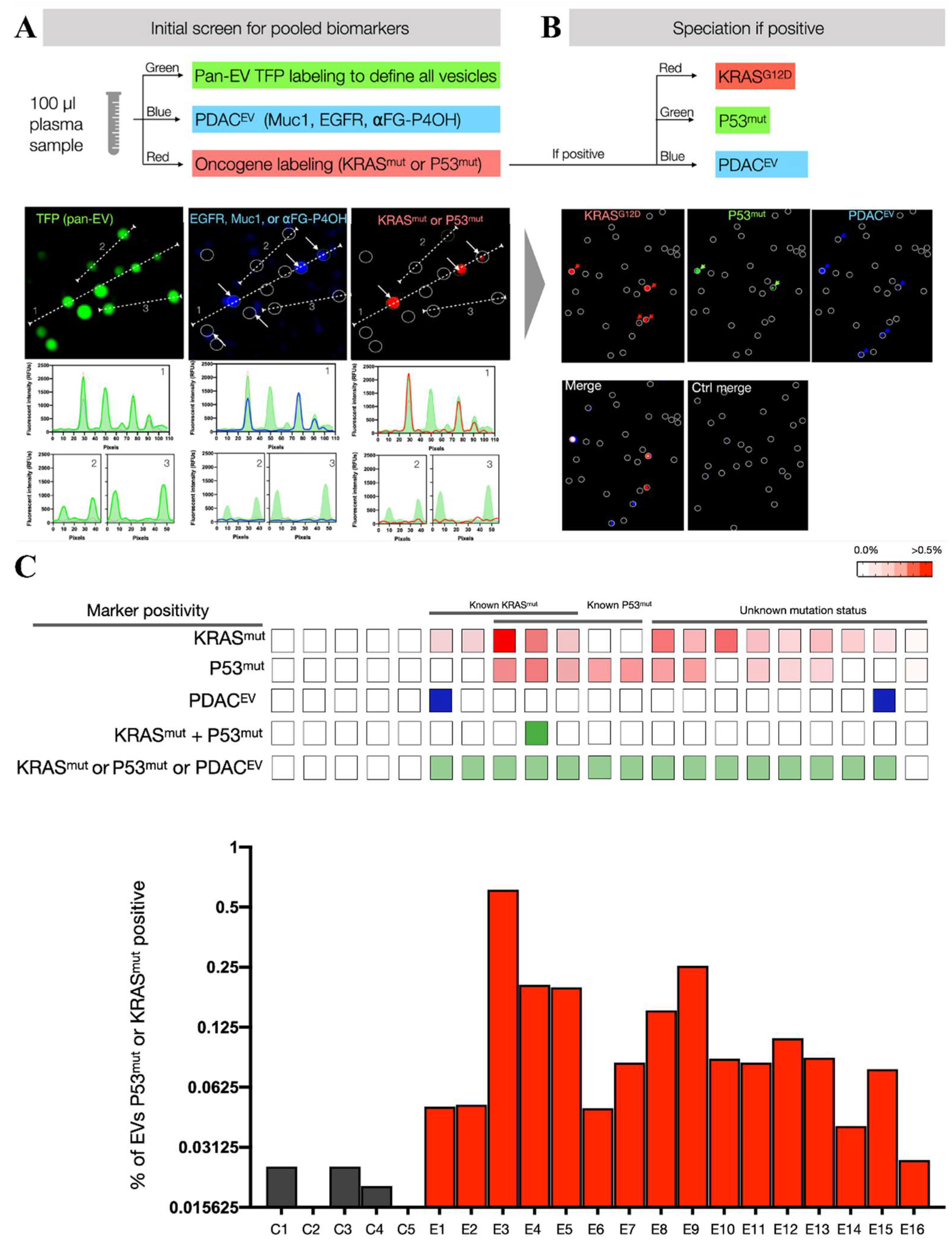 Biosensors 13 00129 g011