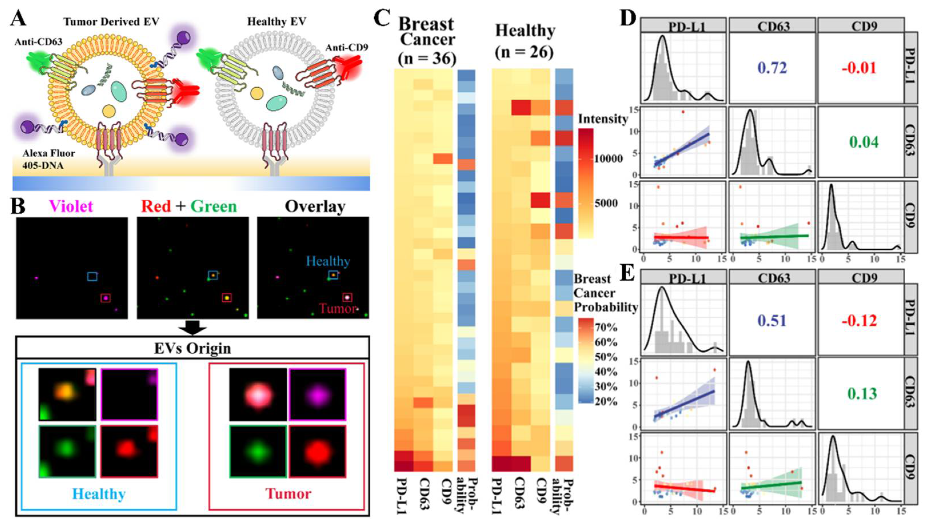 Biosensors 13 00129 g012