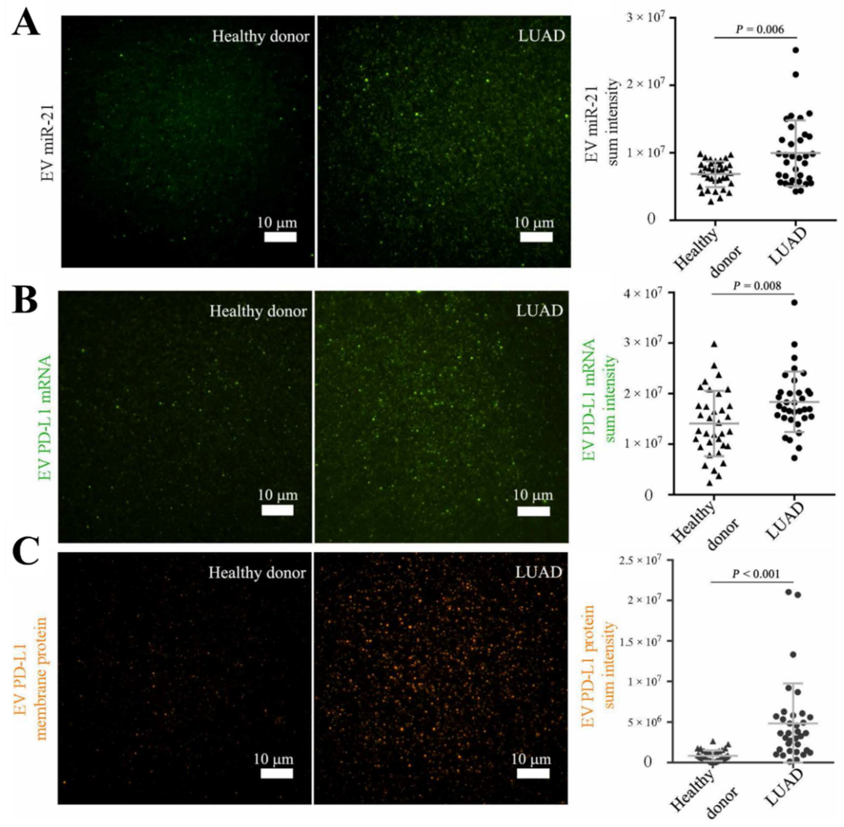 Biosensors 13 00129 g013