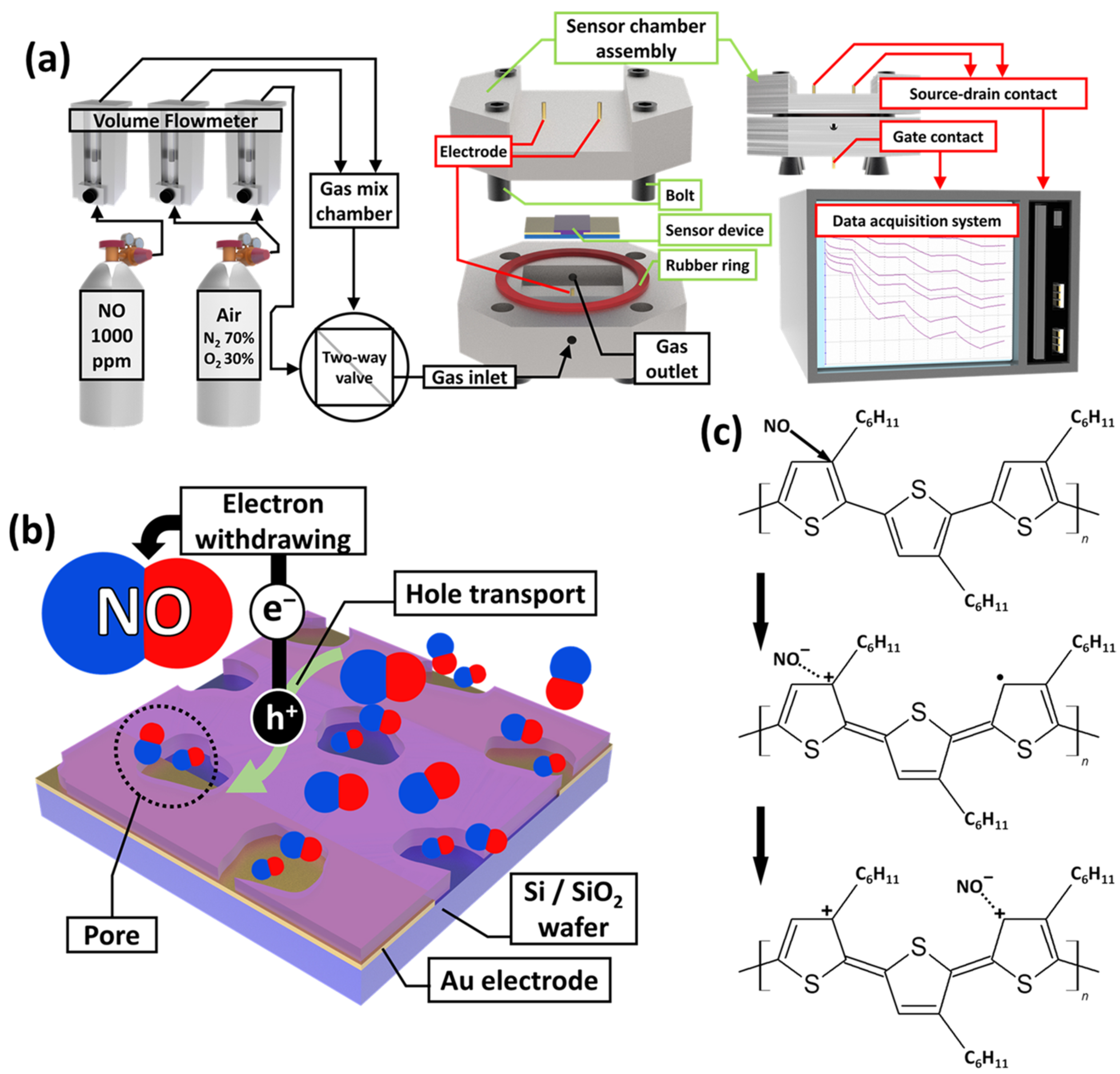 Biosensors 13 00132 g003