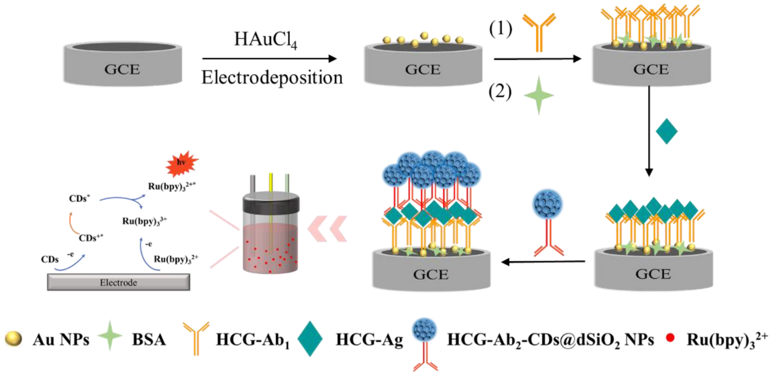 Biosensors 13 00133 g001