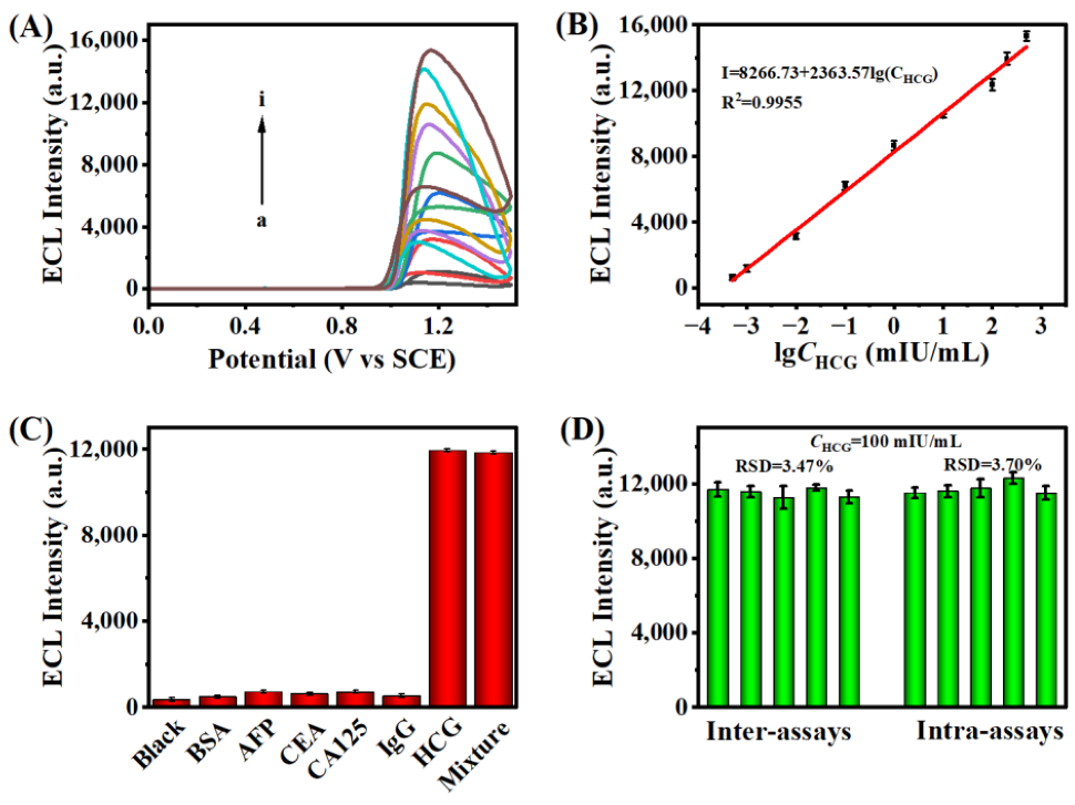 Biosensors 13 00133 g005