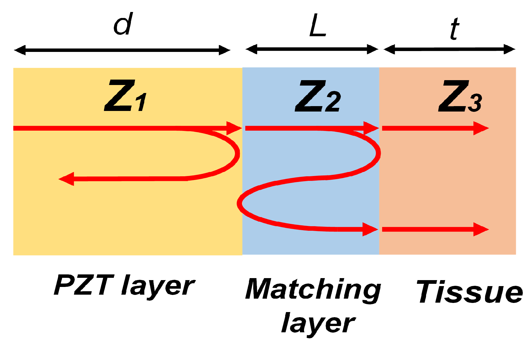 Biosensors 13 00134 g001