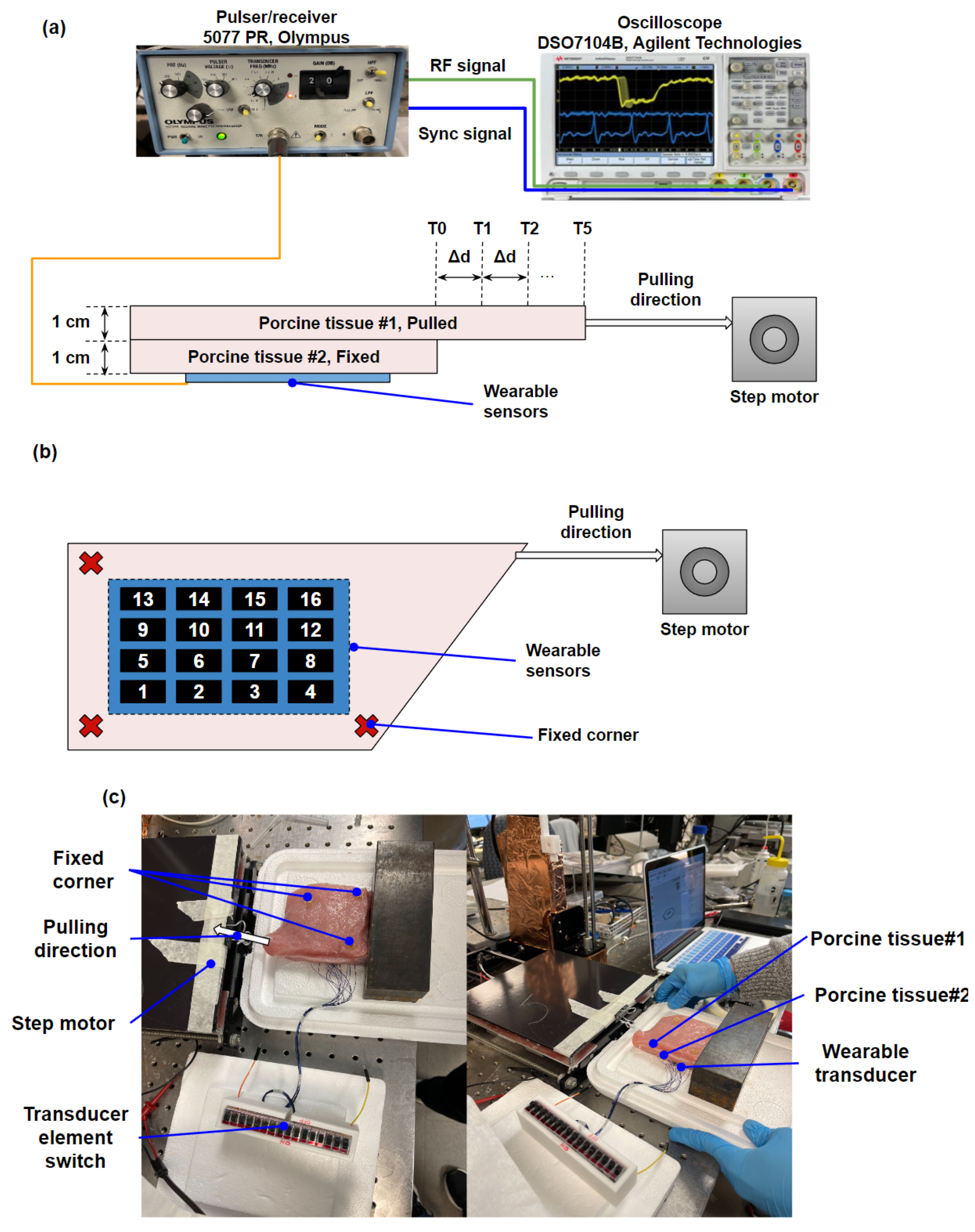 Biosensors 13 00134 g005