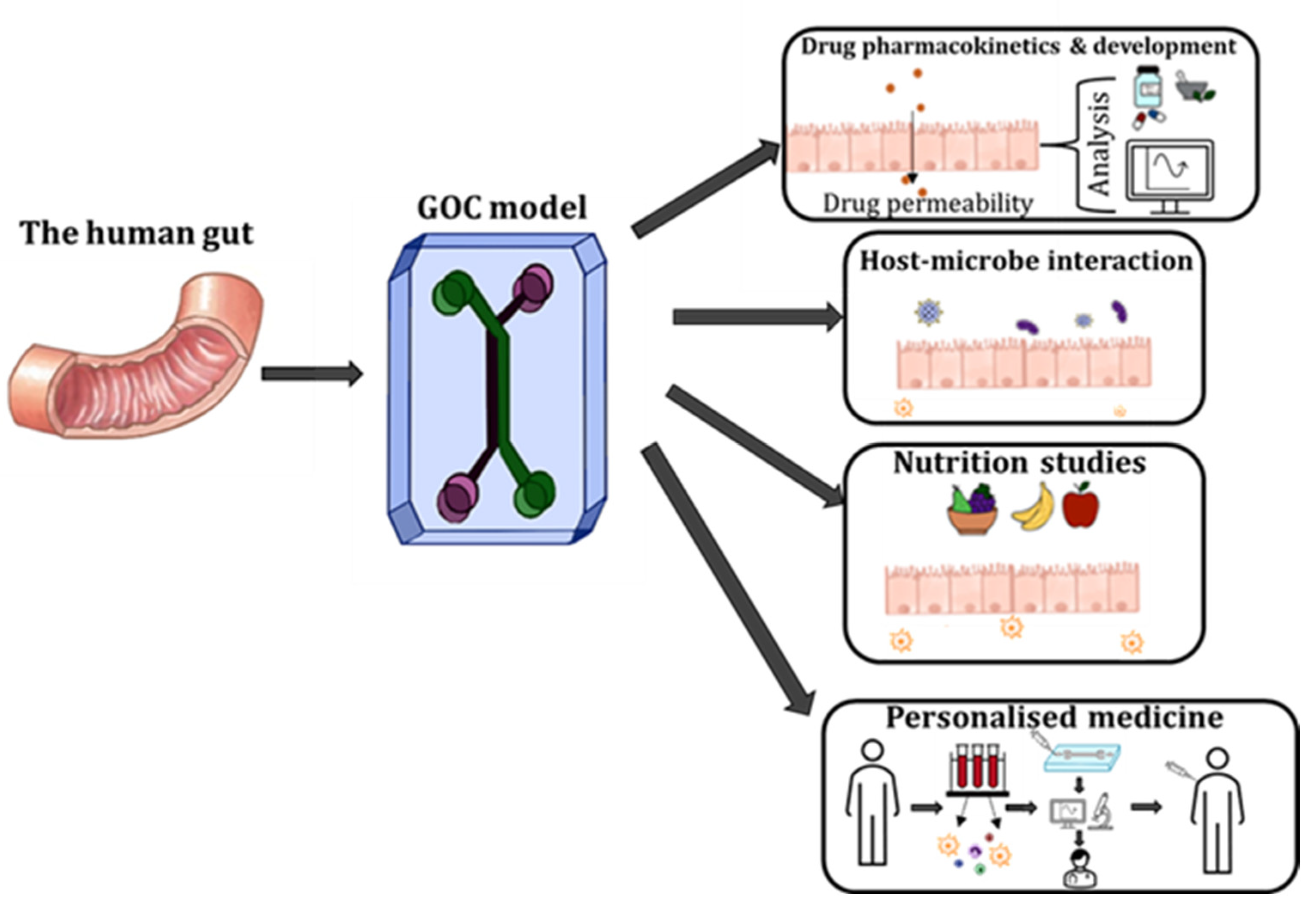 Biosensors 13 00136 g006