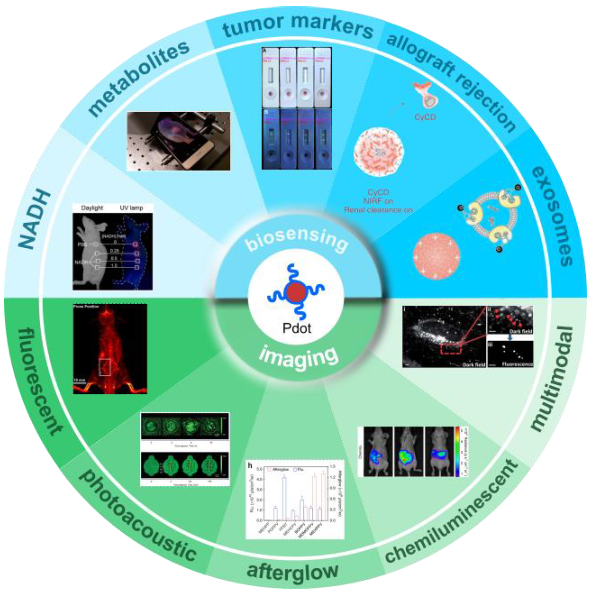 Biosensors 13 00137 g001